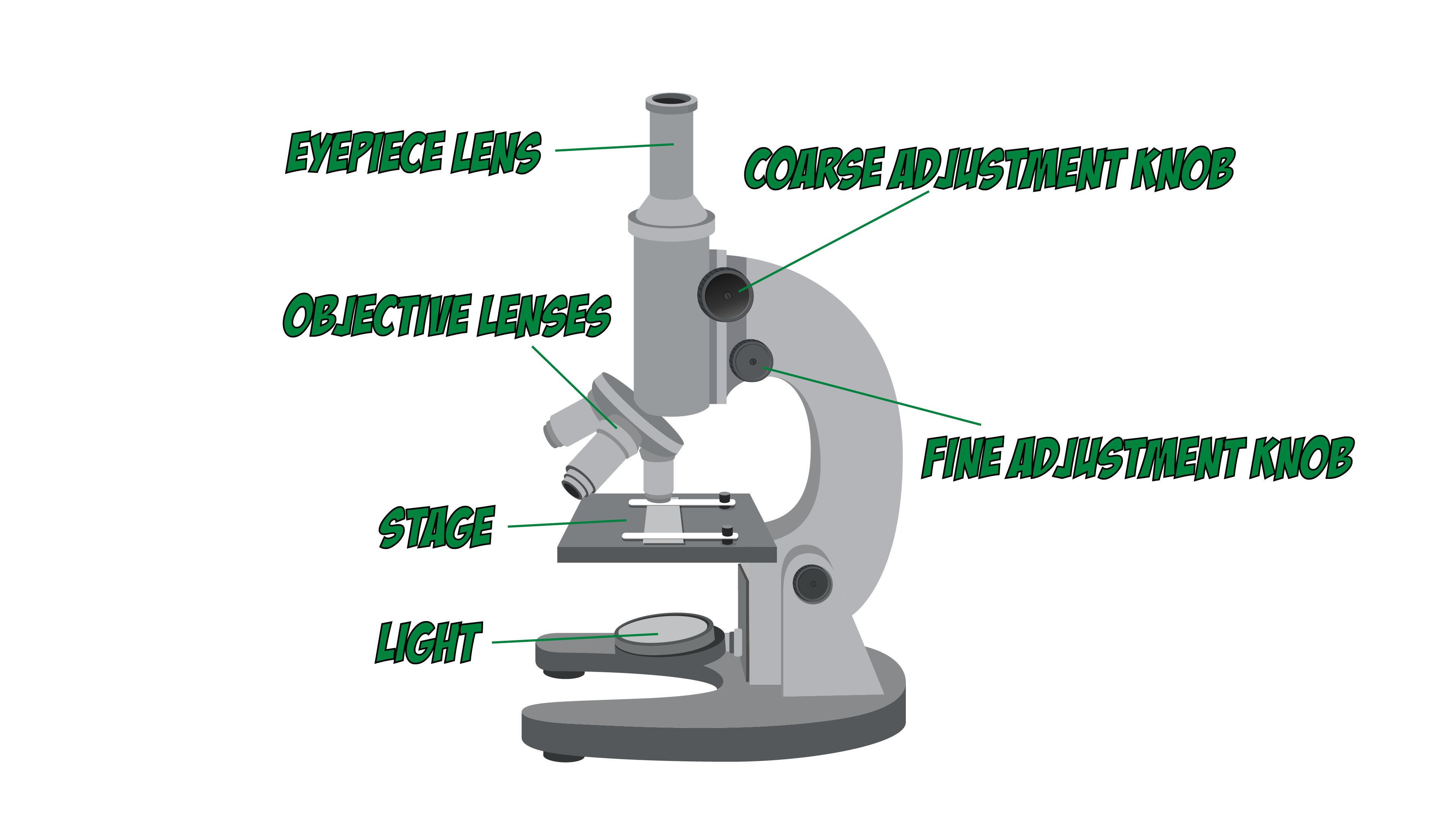 Microscope