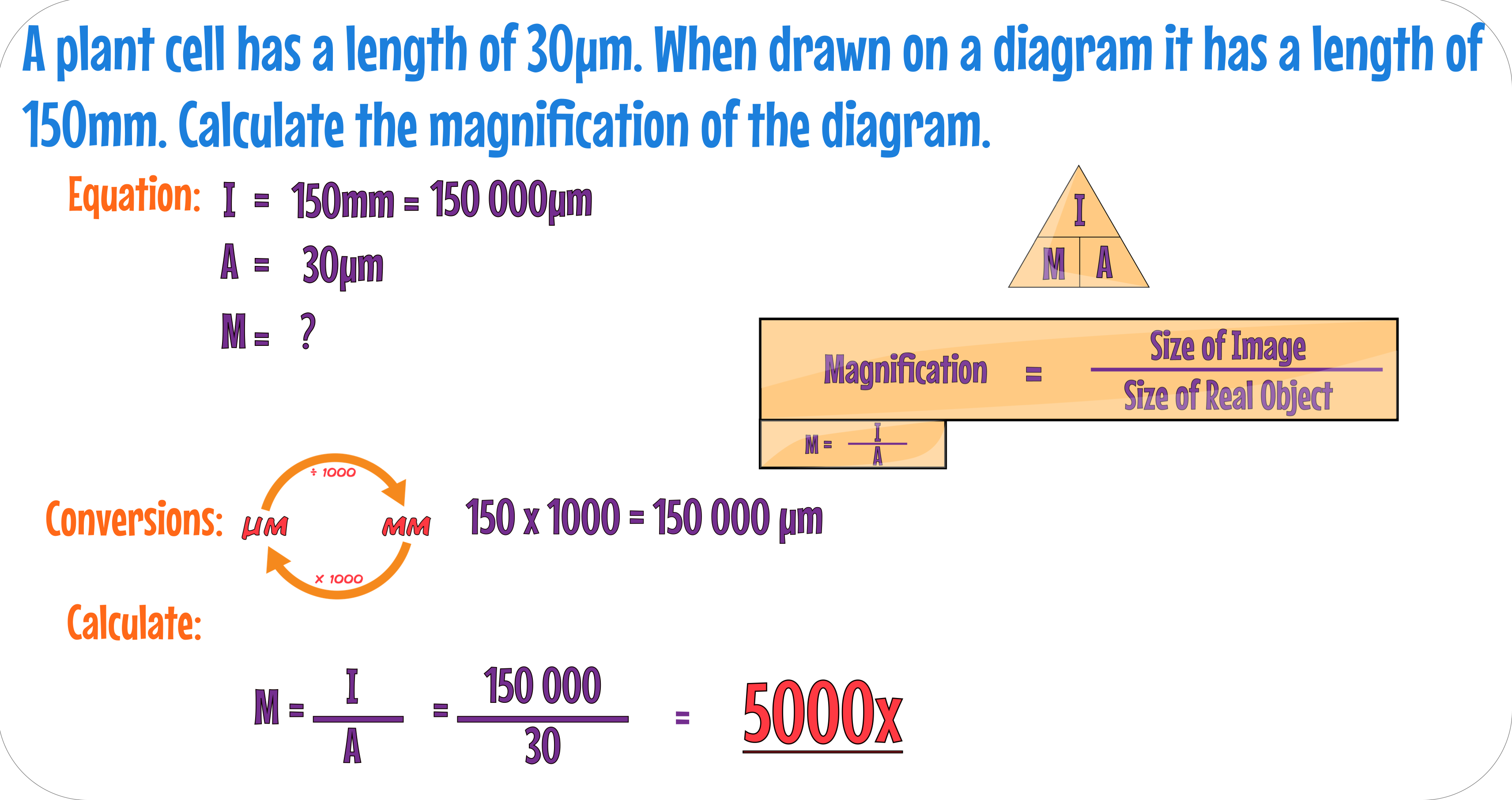 Microscope Calculation