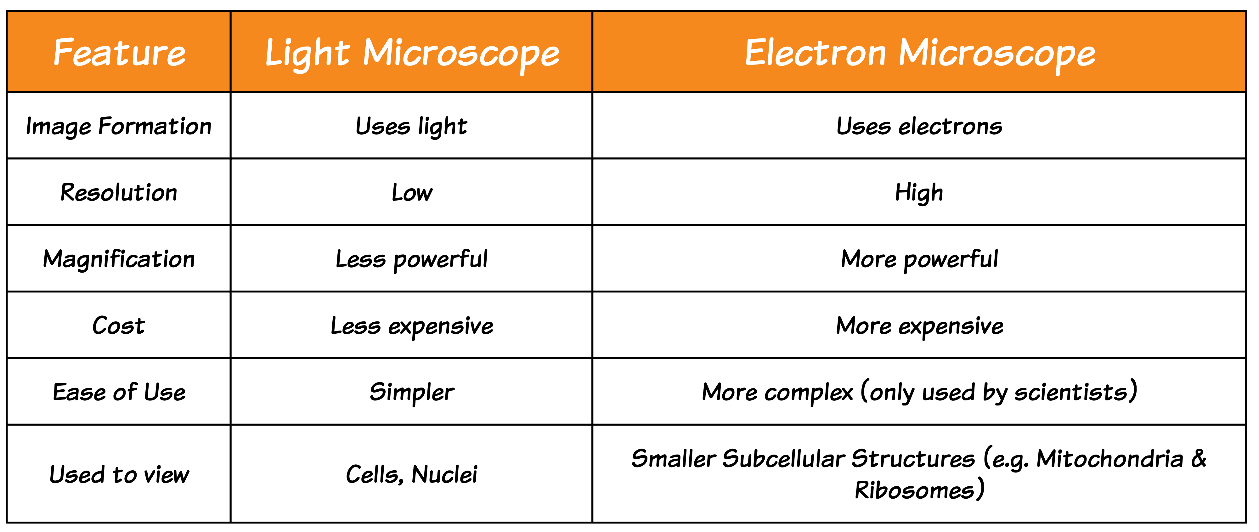 Microscope Table