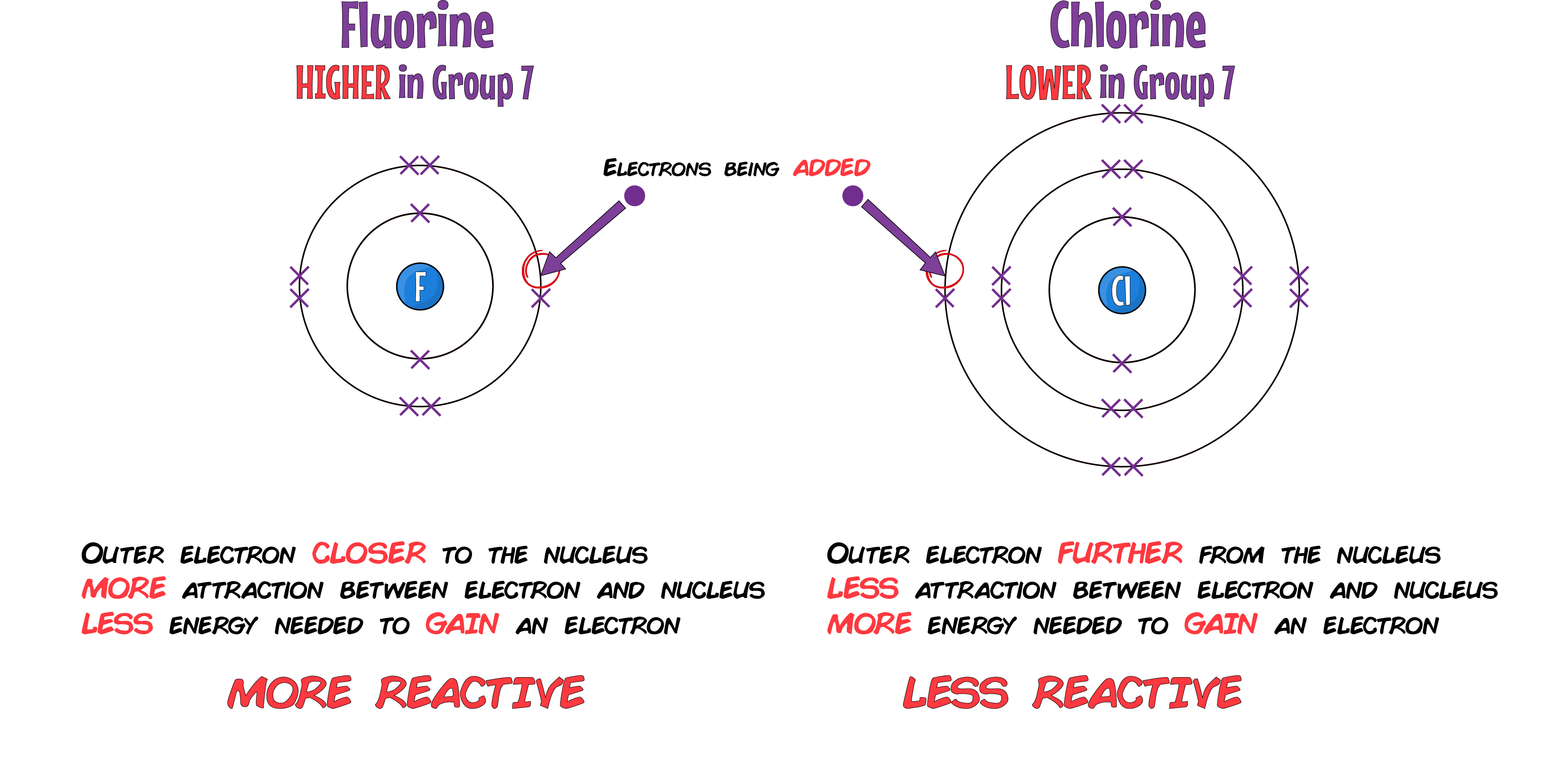 Fluorine and Chlorine