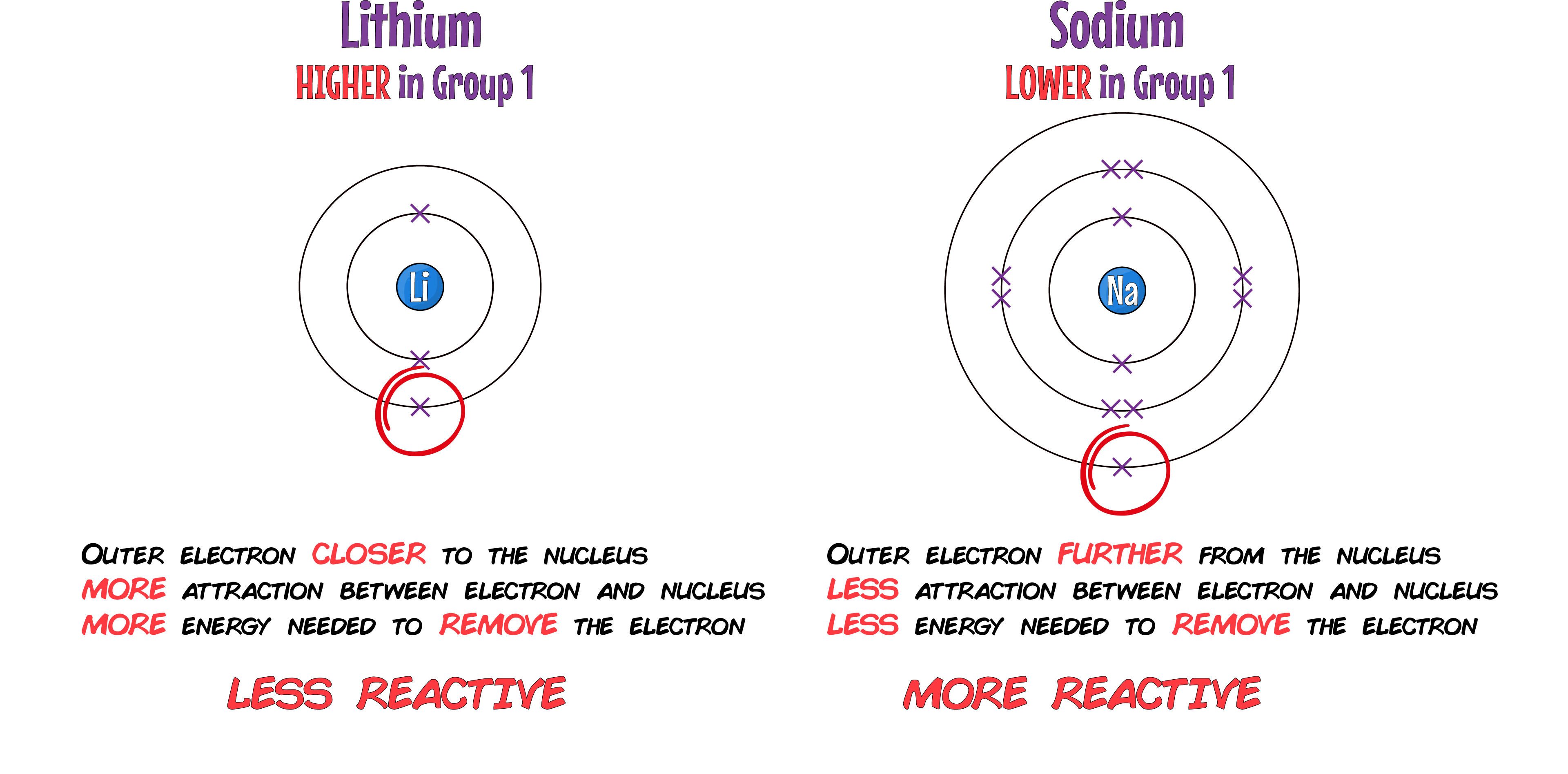 Lithium and Sodium