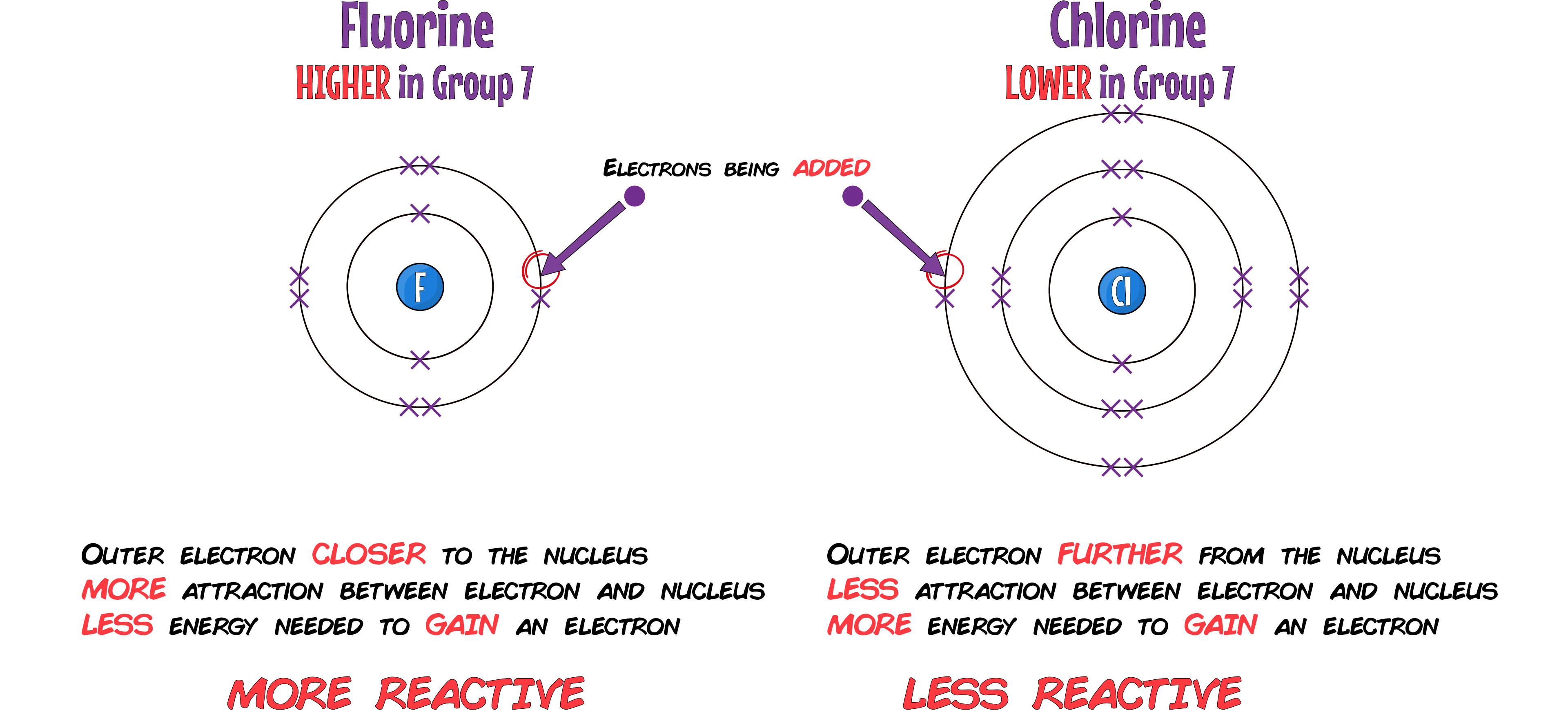 Fluorine and Chlorine