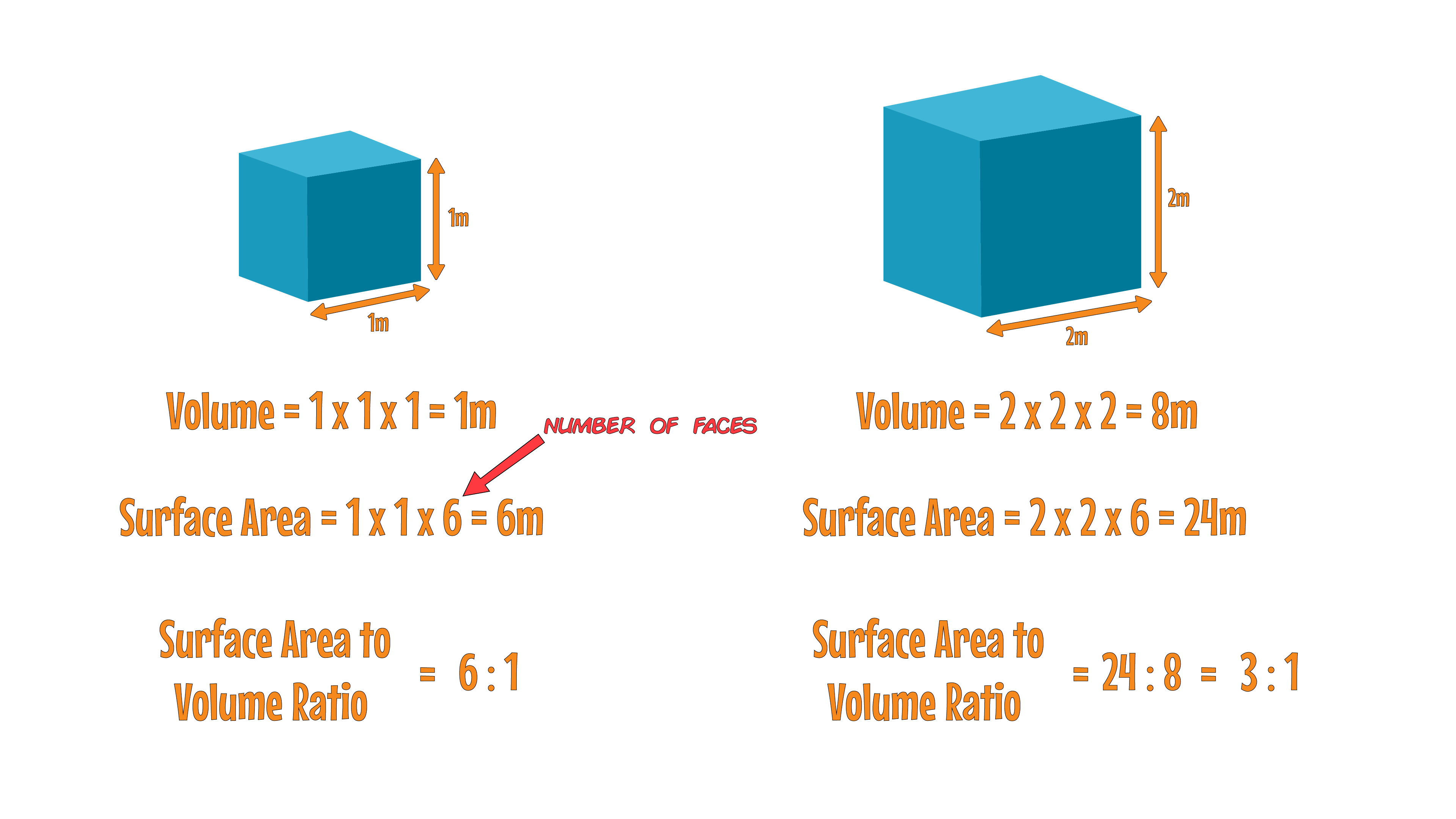 SA to Volume