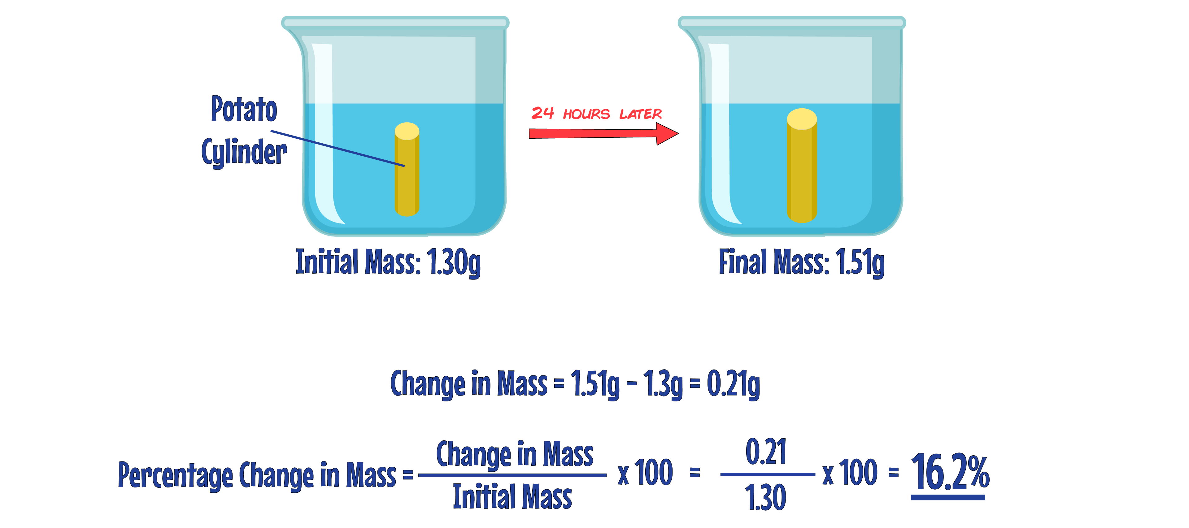 Osmosis Experiment Calculation