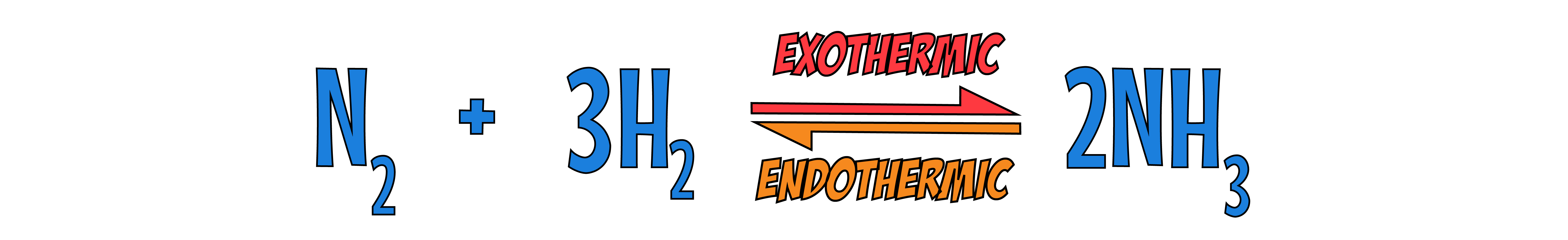 Haber Exo Endo