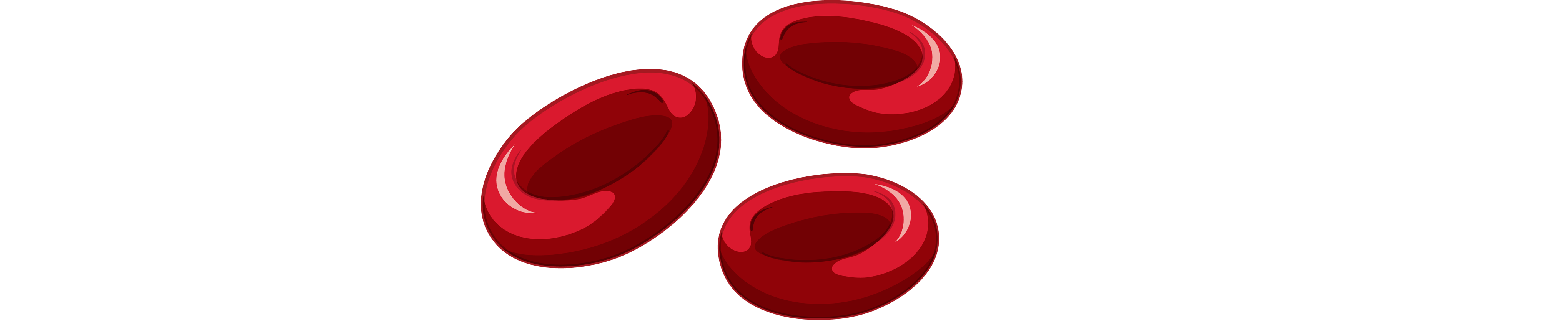 Red Blood Cells
