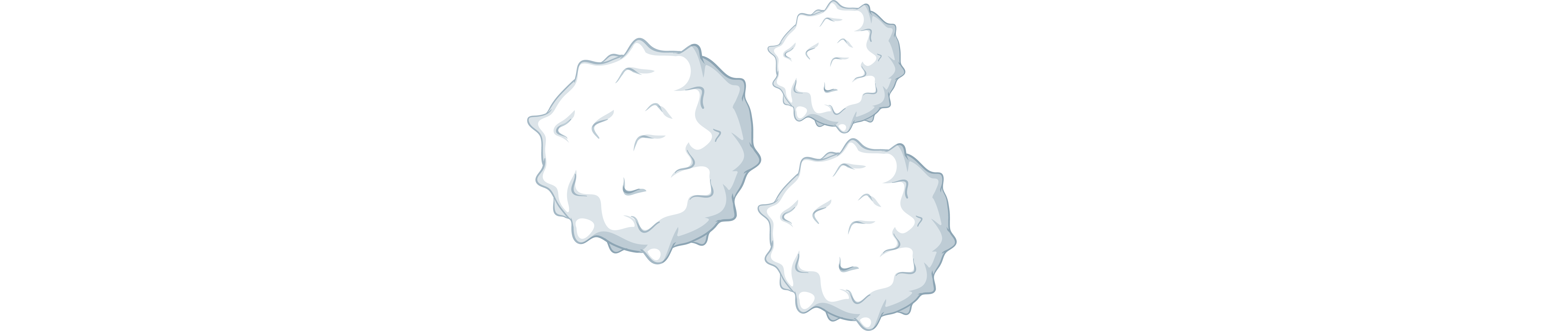 White Blood Cells