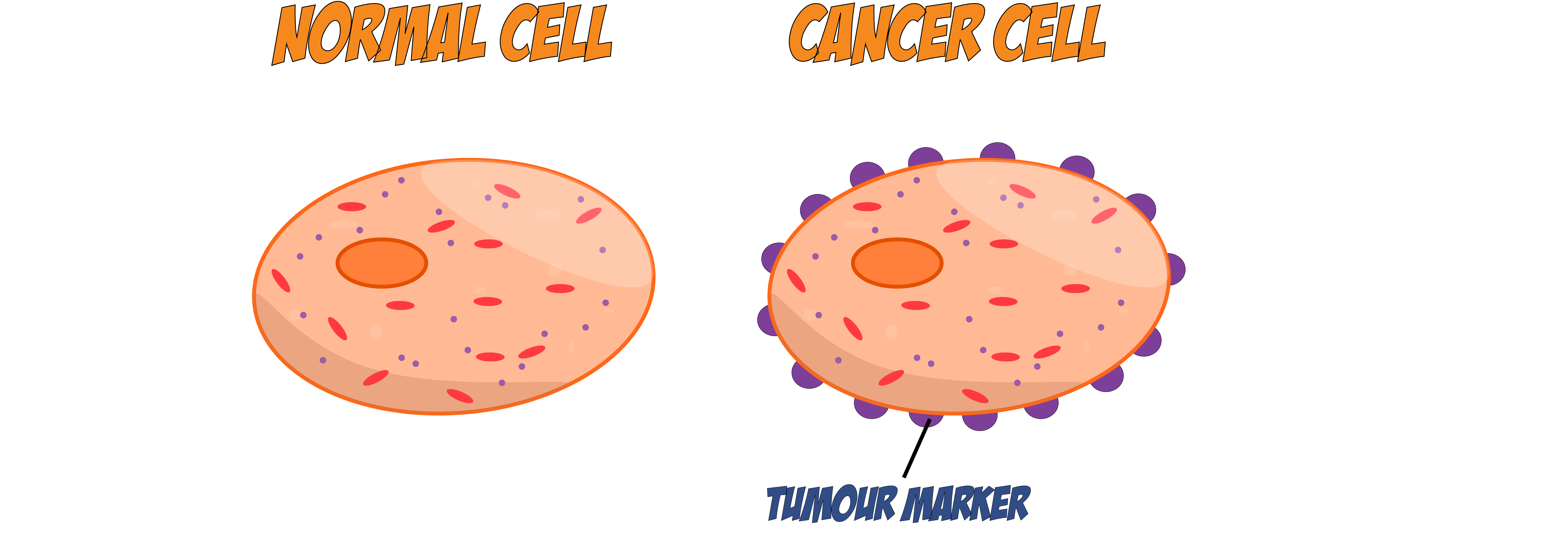 Tumour Marker
