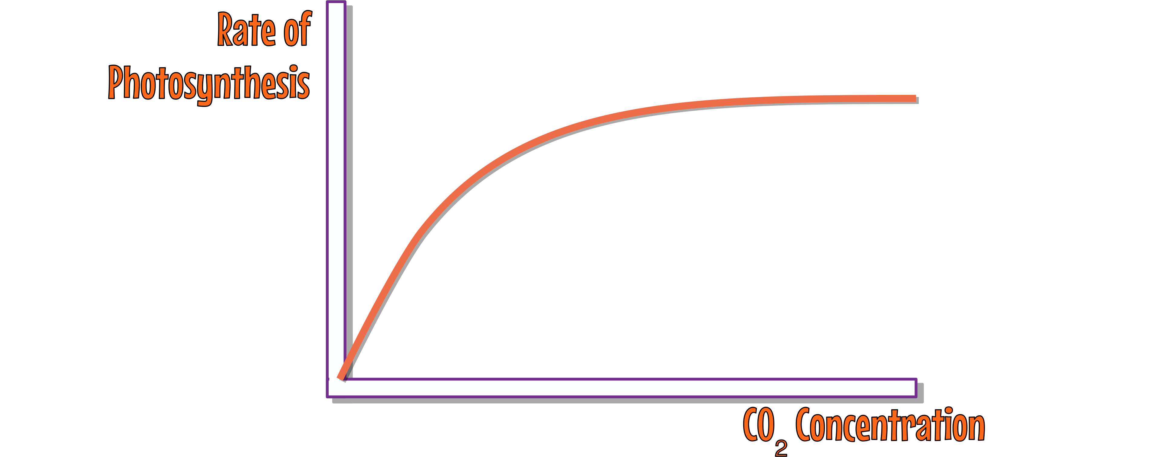 CO2 Concentration