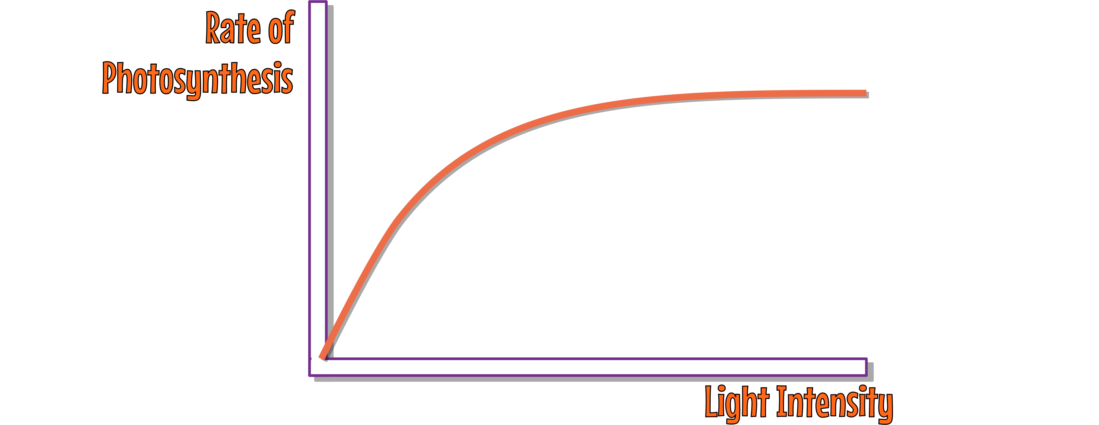 Light Intensity