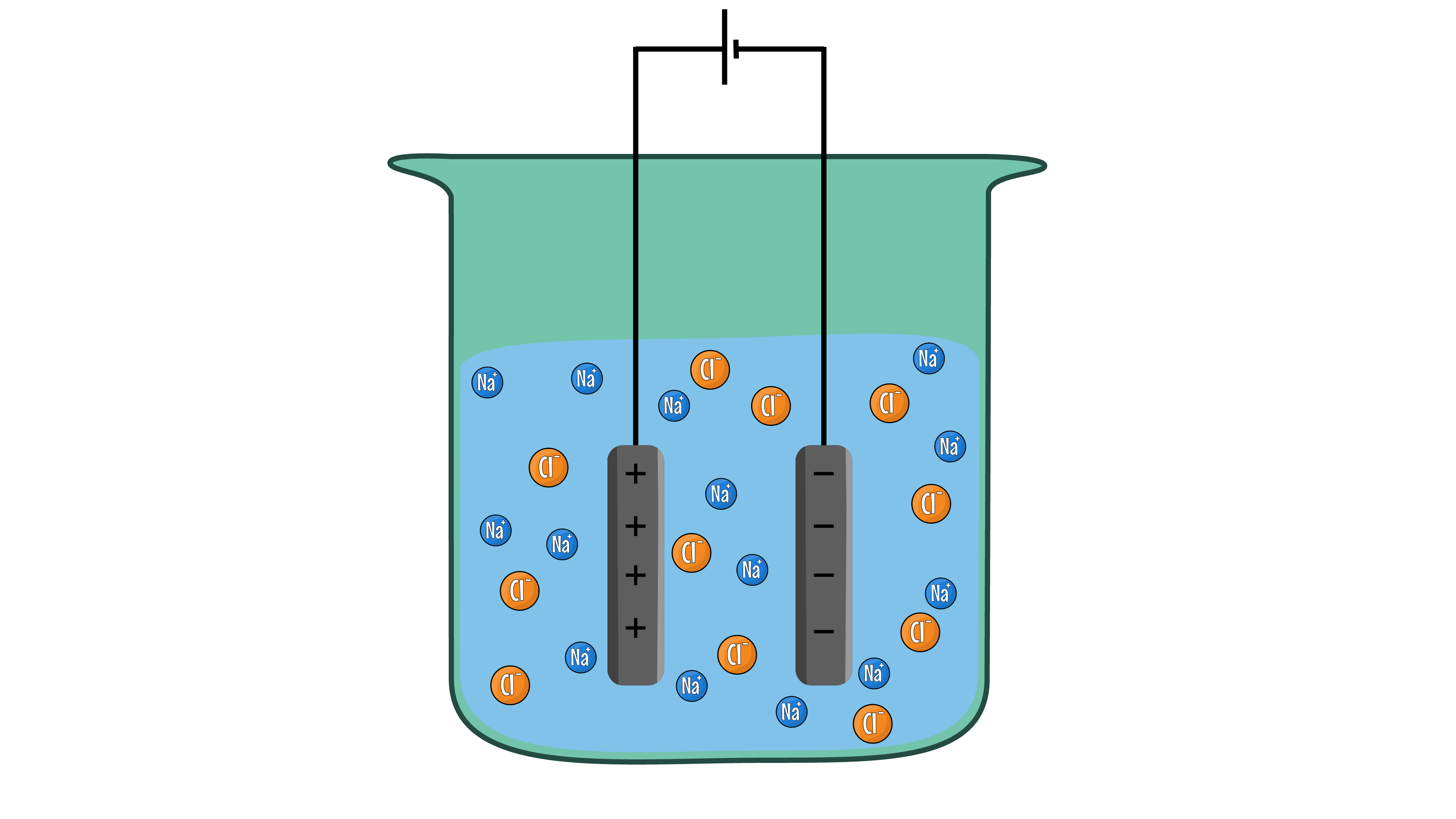 Ions in Electrolyte