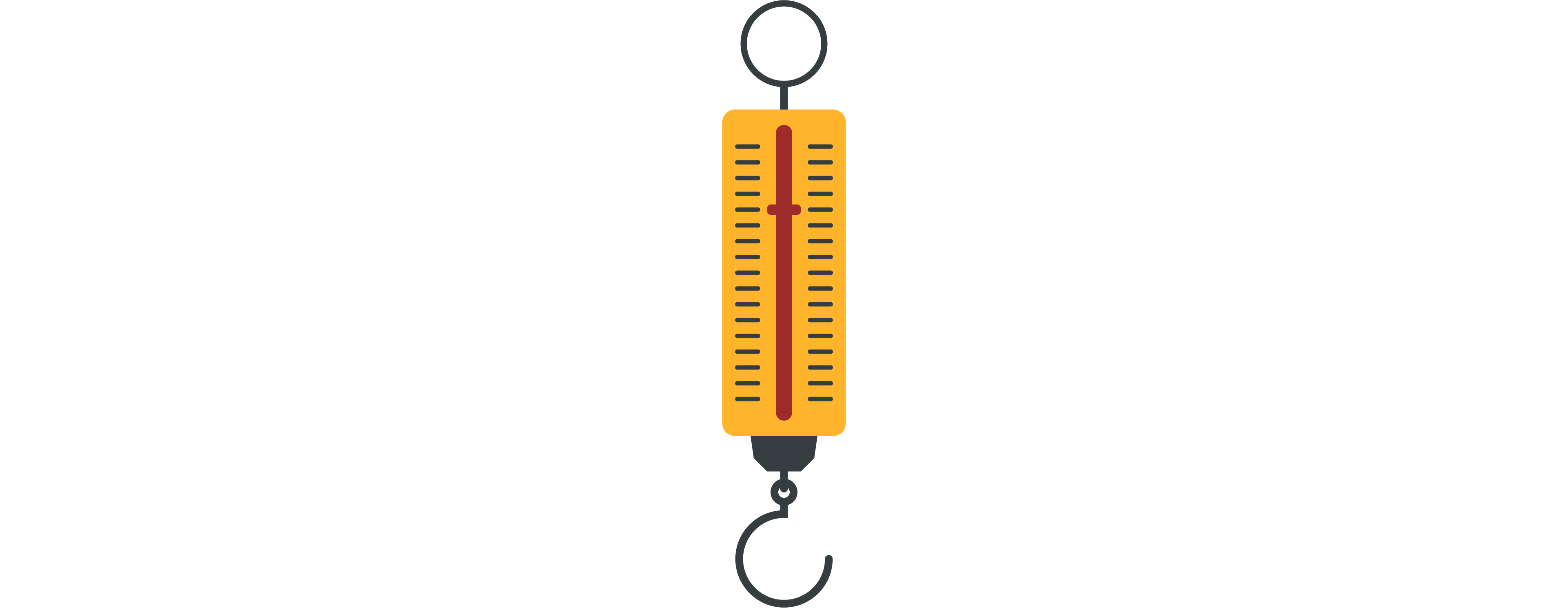 Newtonmeter