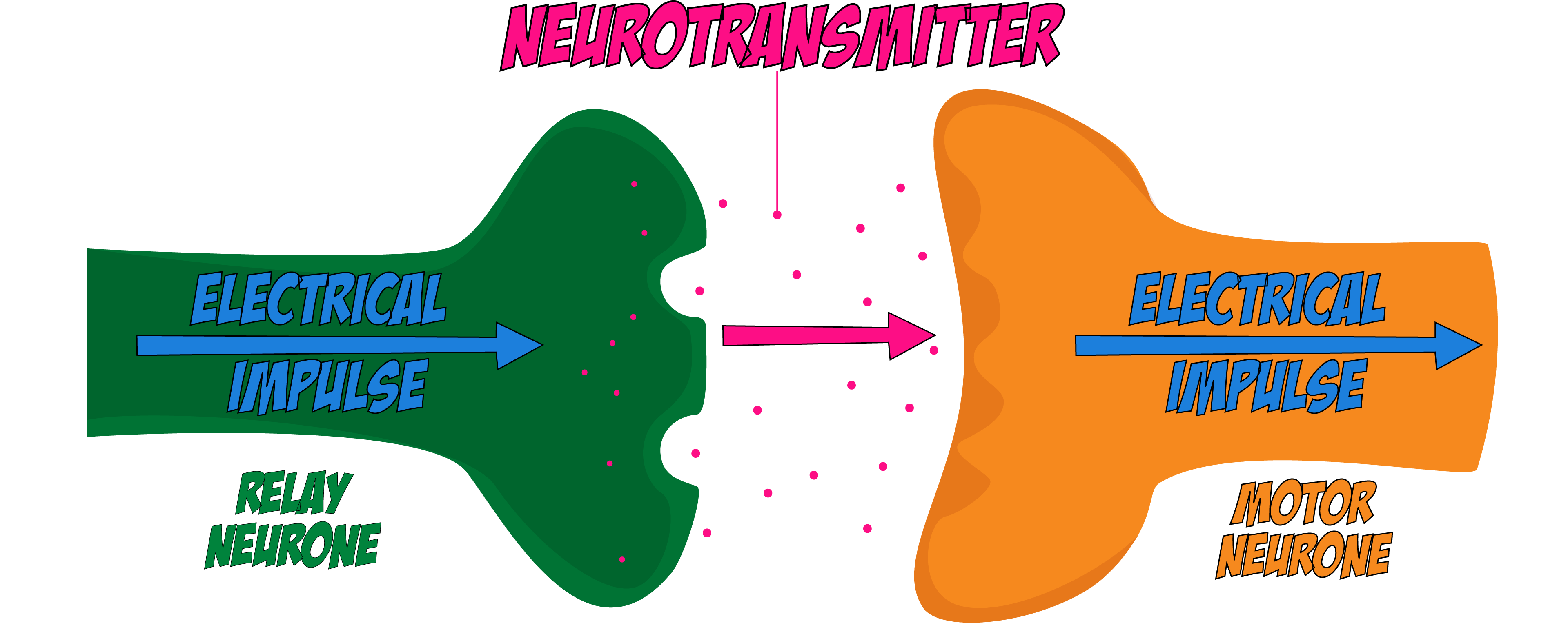 Neurotransmitter