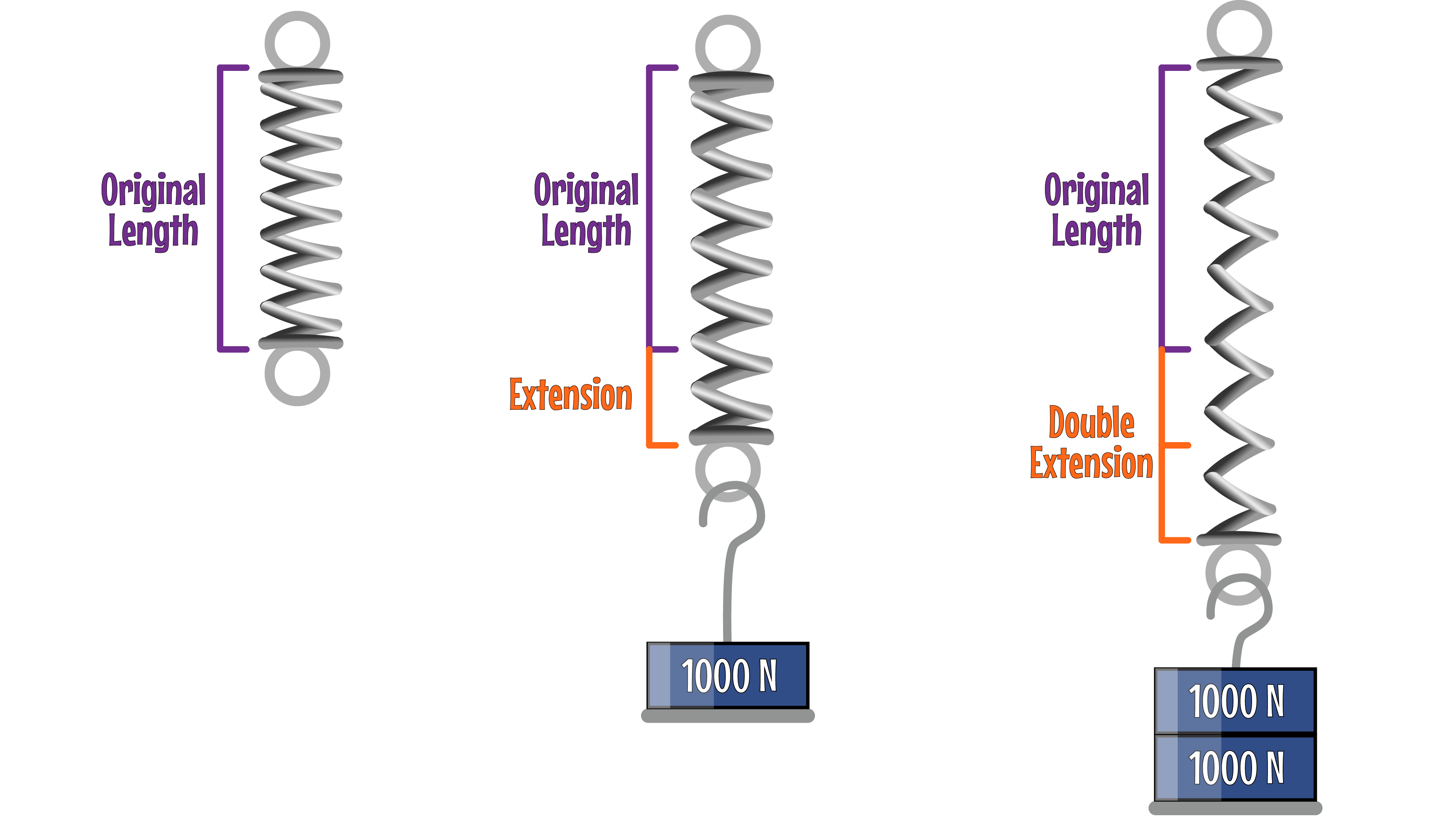 Hookes Law Spring