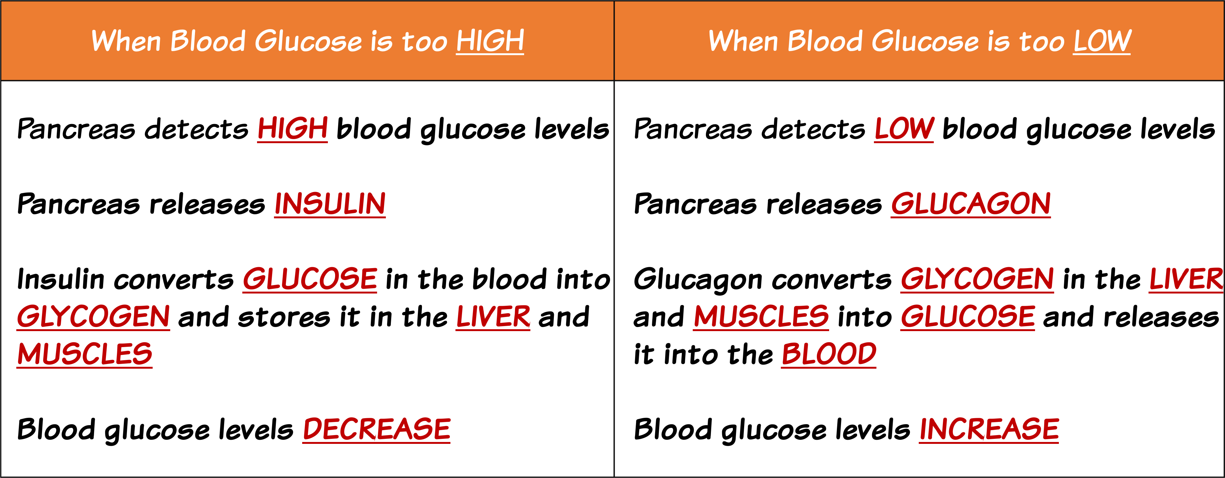 Blood Glucose
