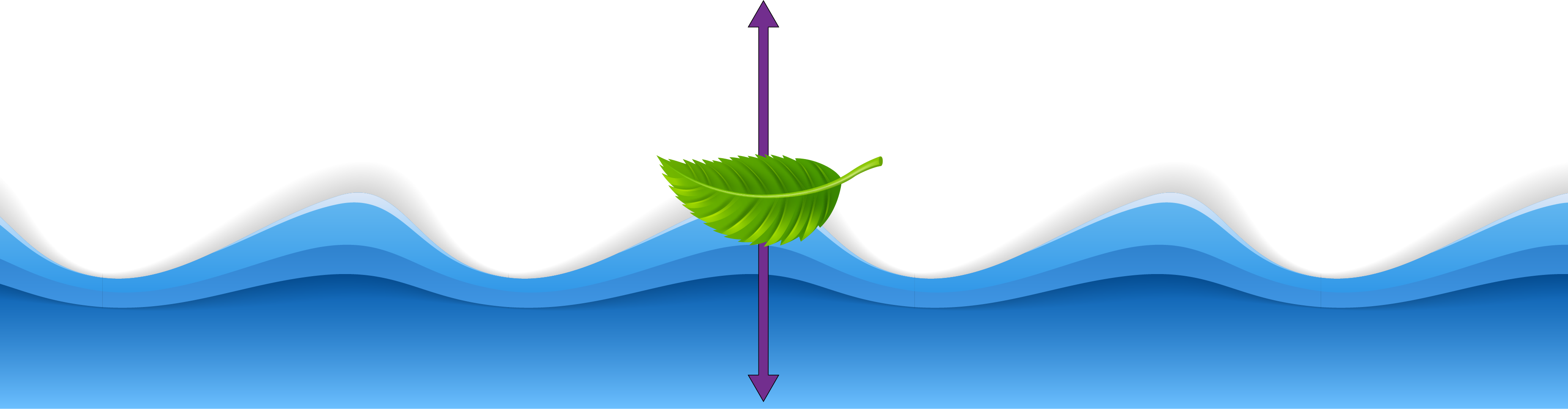 Leaf on Water