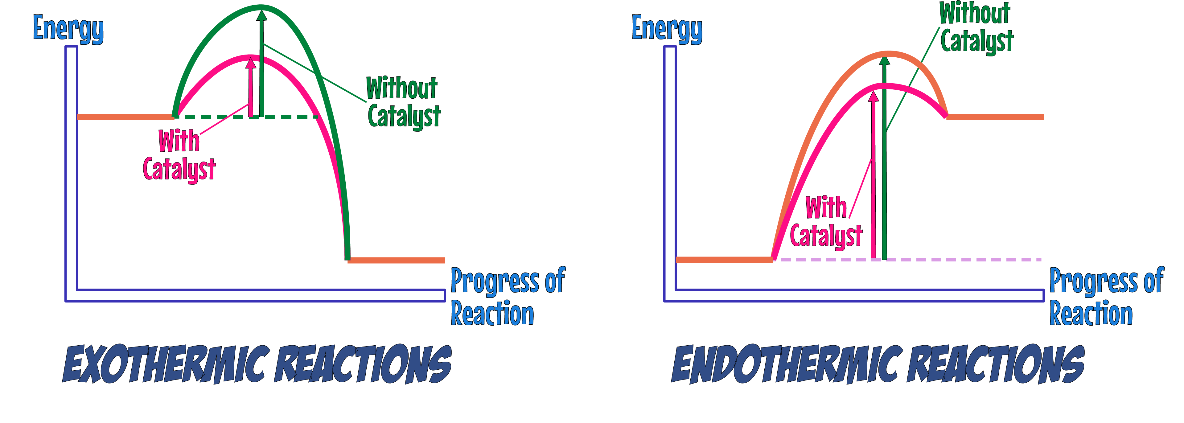 Reaction Profiles