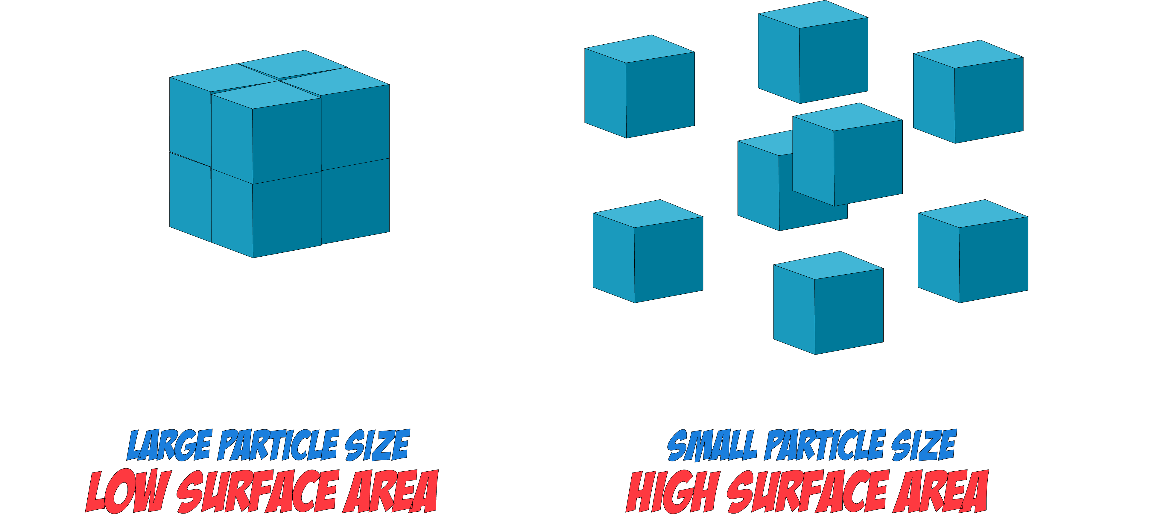 Surface Area