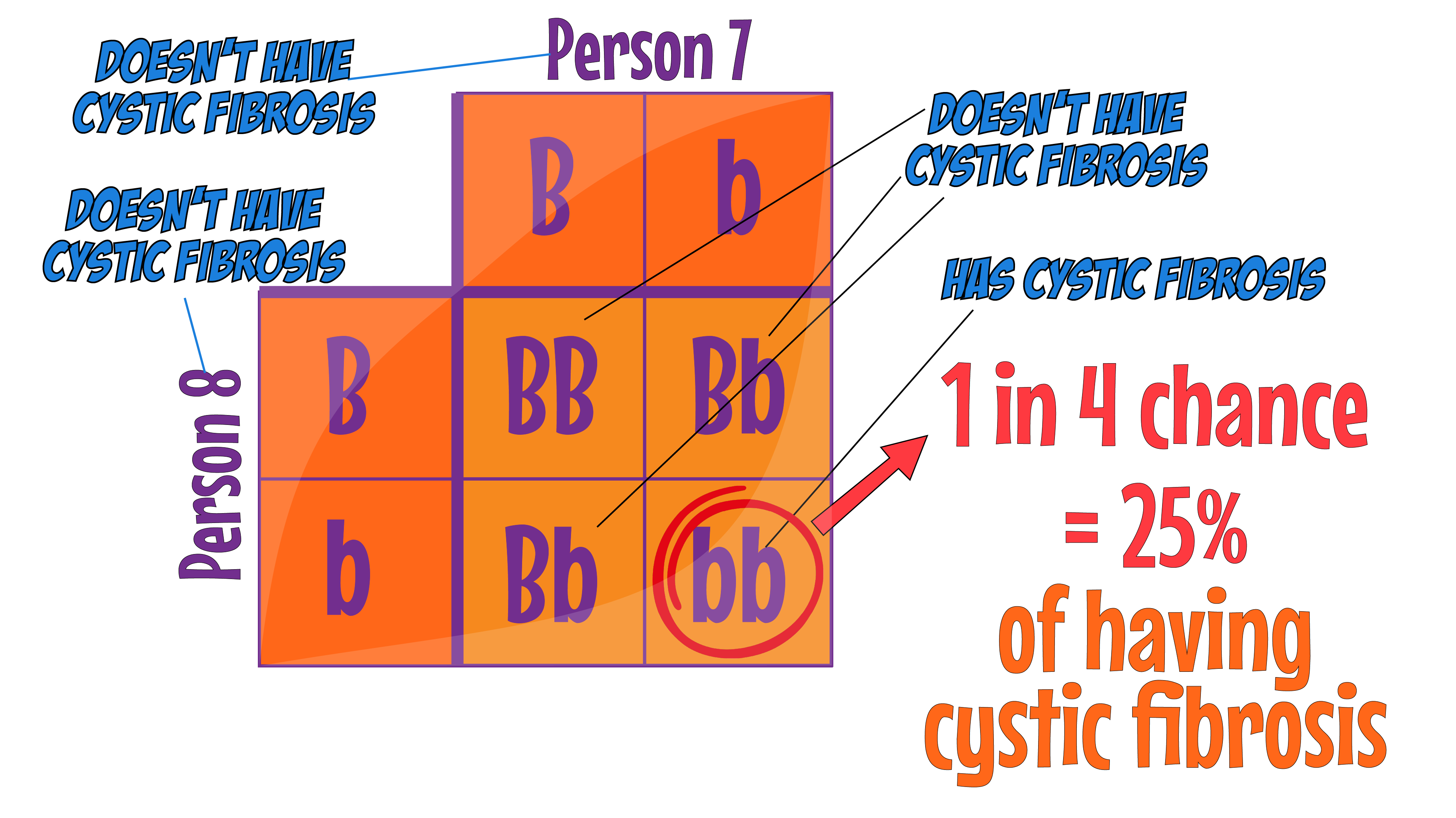 Cystic F Punnett