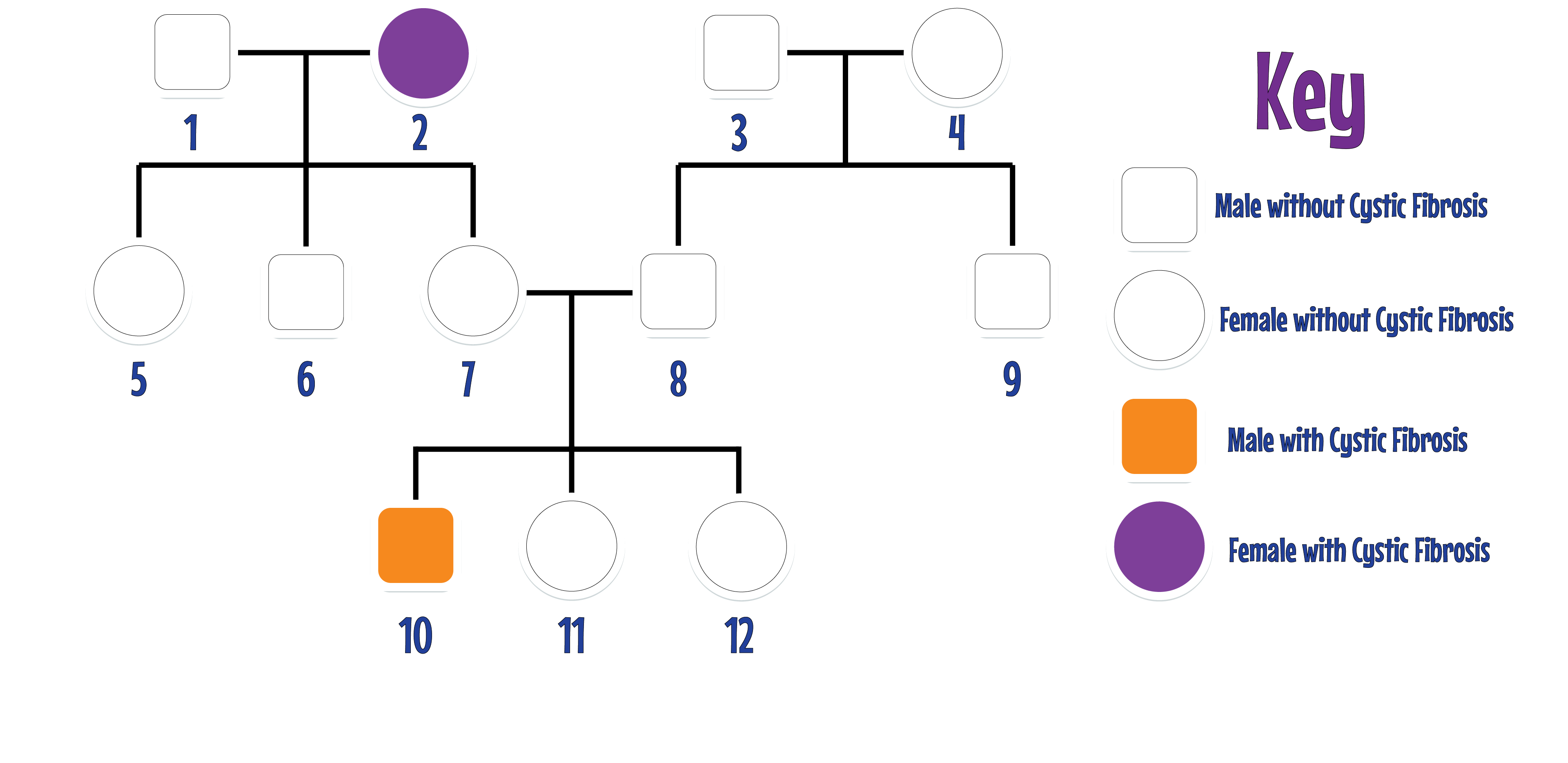 Family Tree