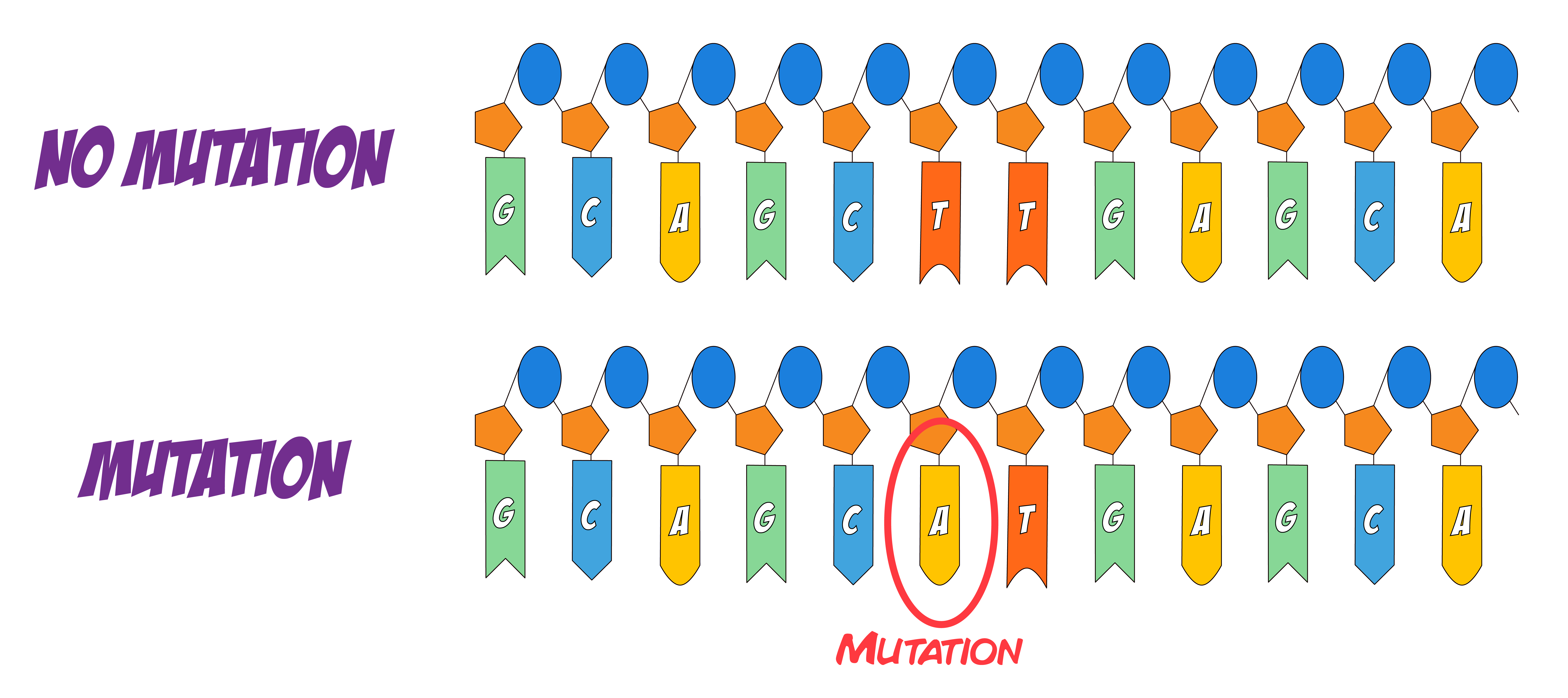 Mutation