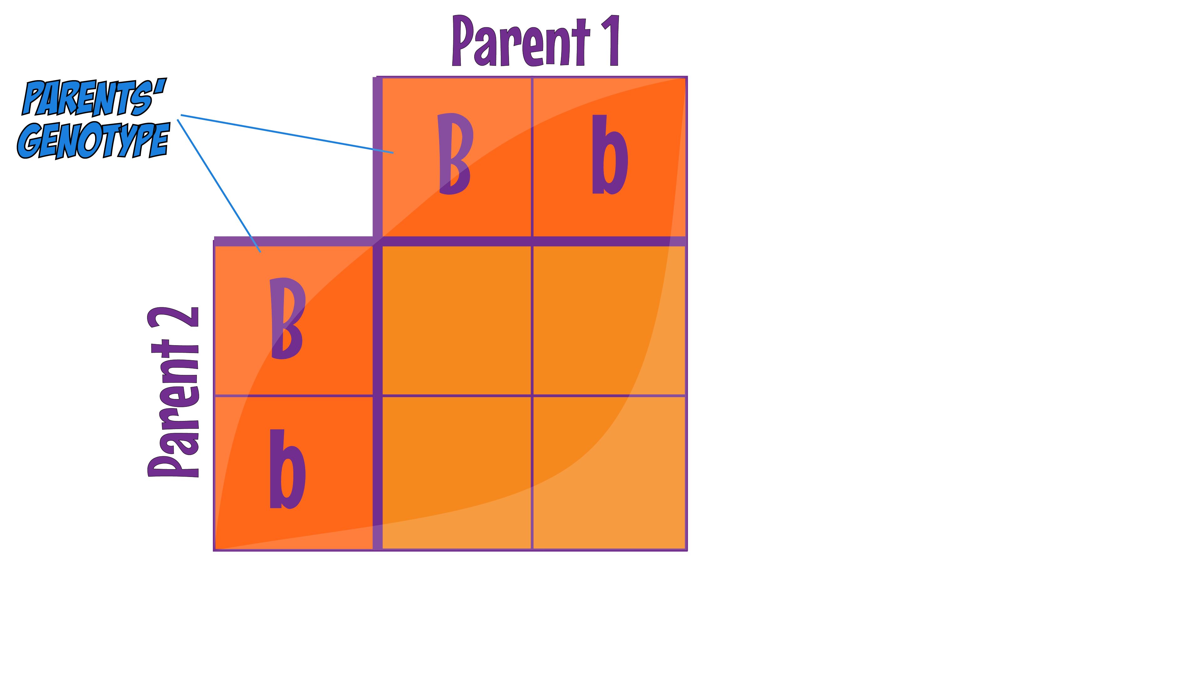 Punnett Square Parents
