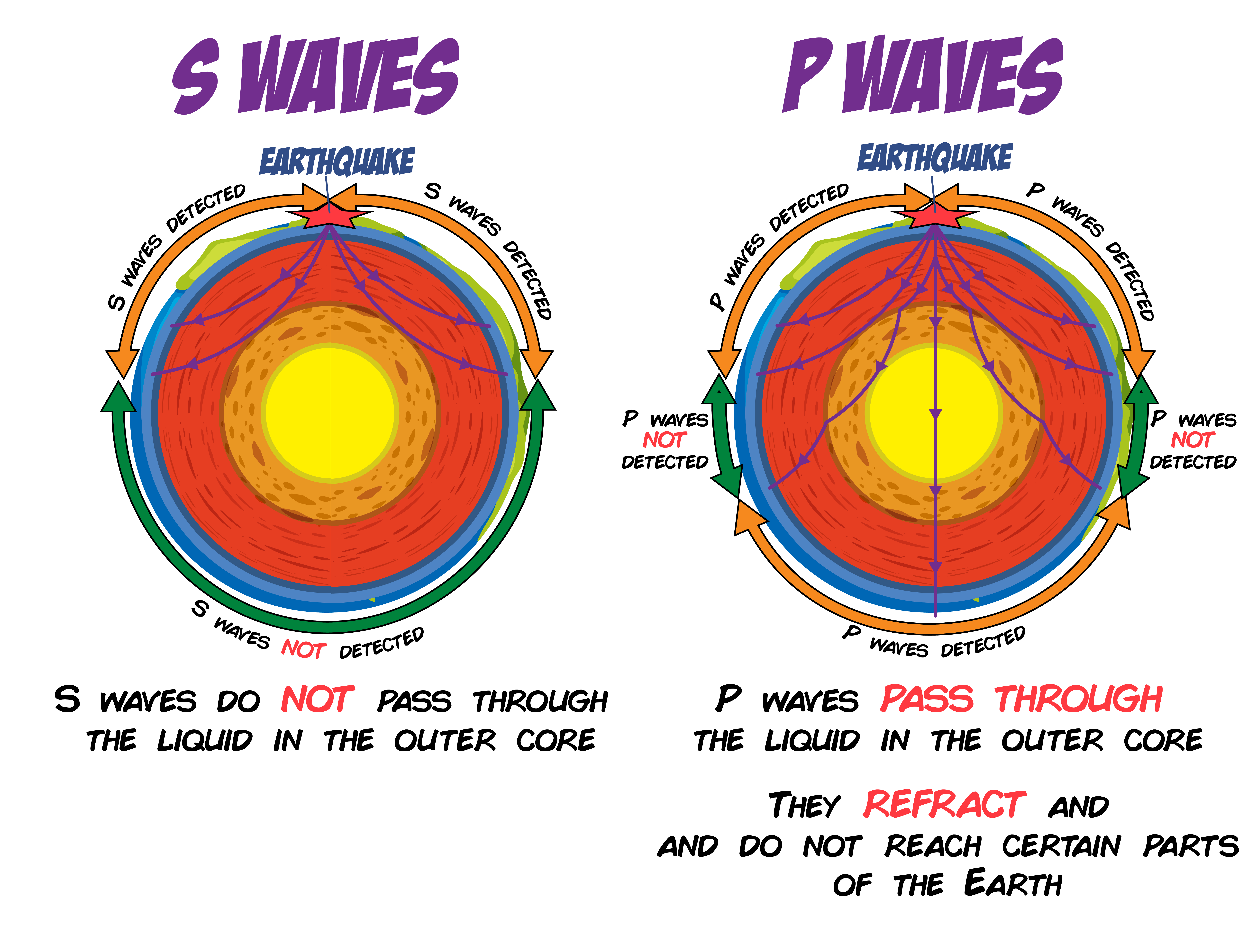 S and P Waves