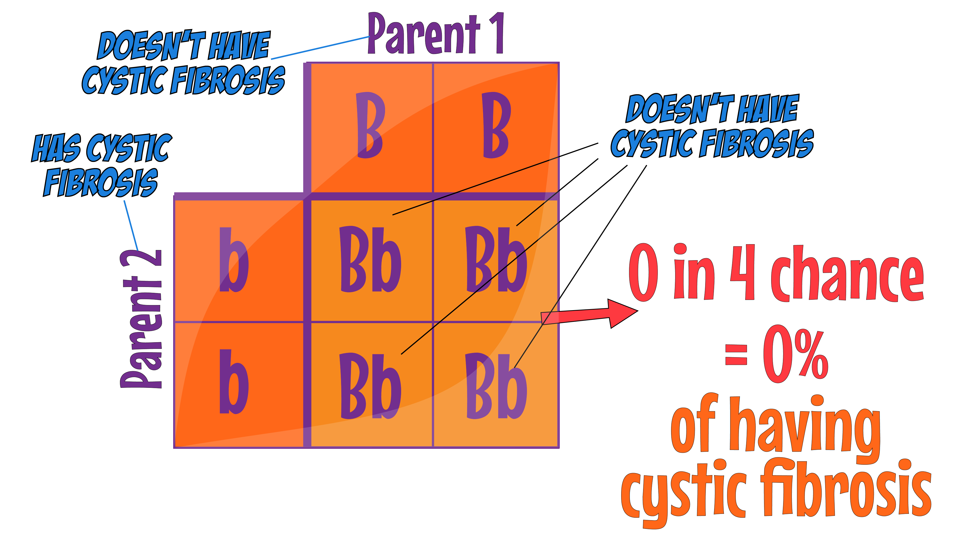 Cystic Fibrosis