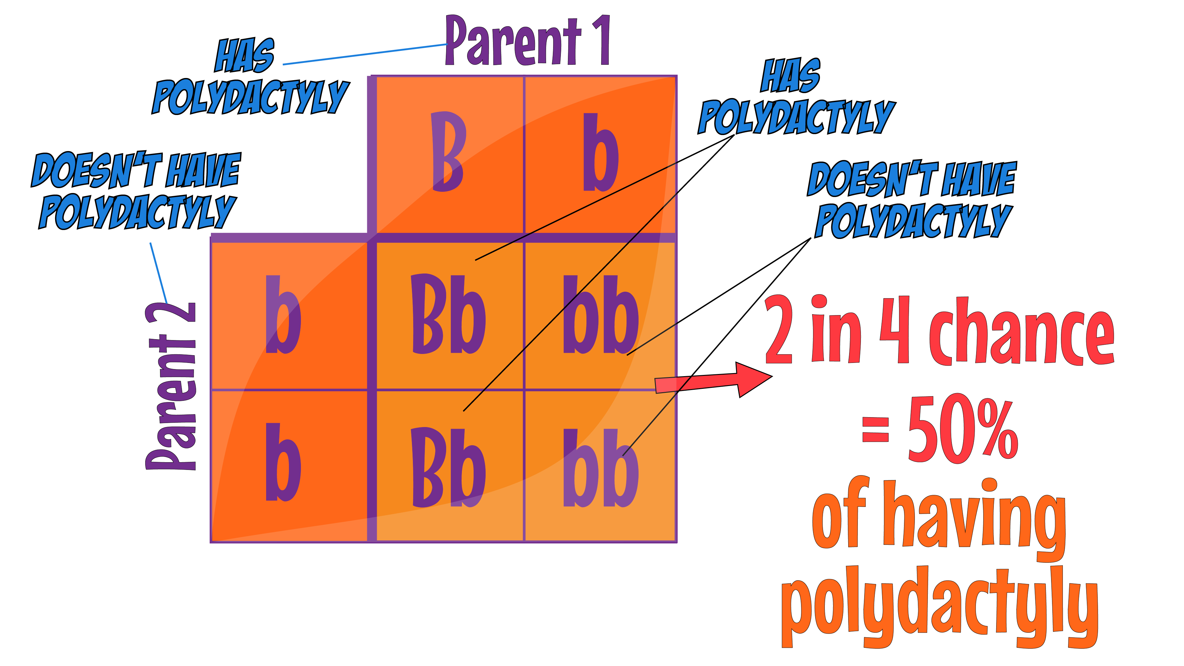Polydactyly