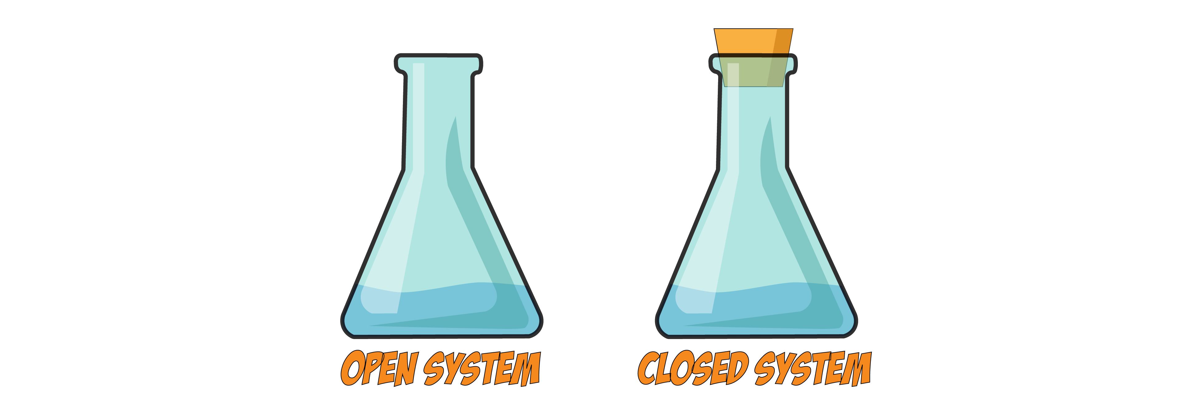 Open and Closed Systems