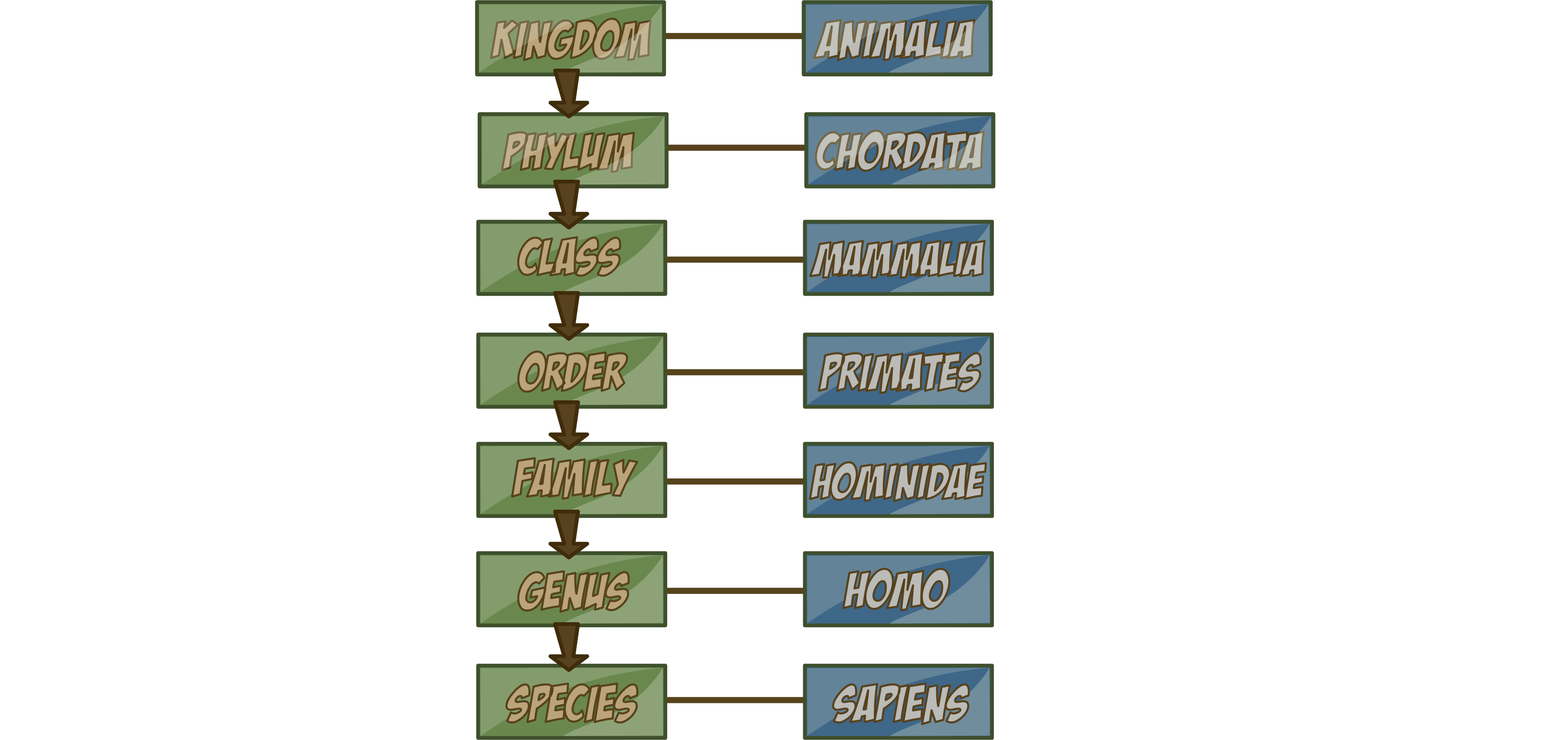 Linnaean System