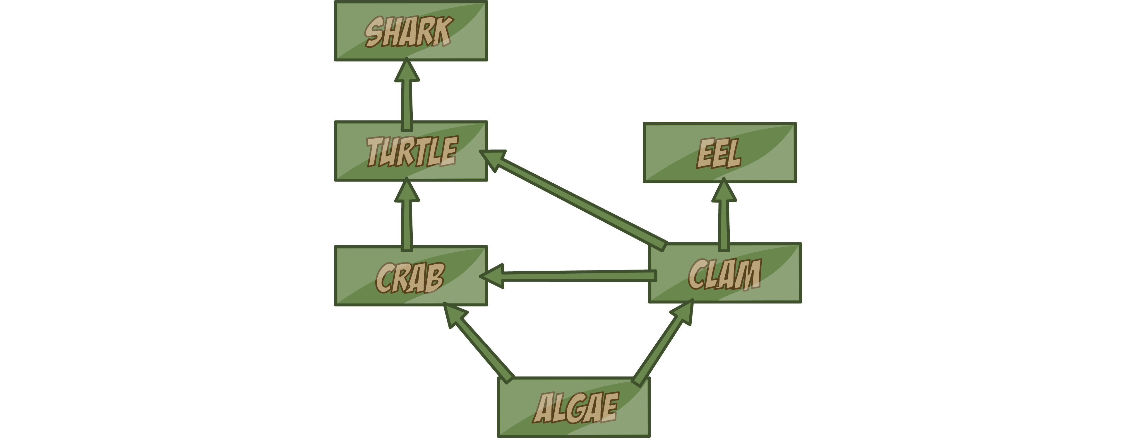 Food Web
