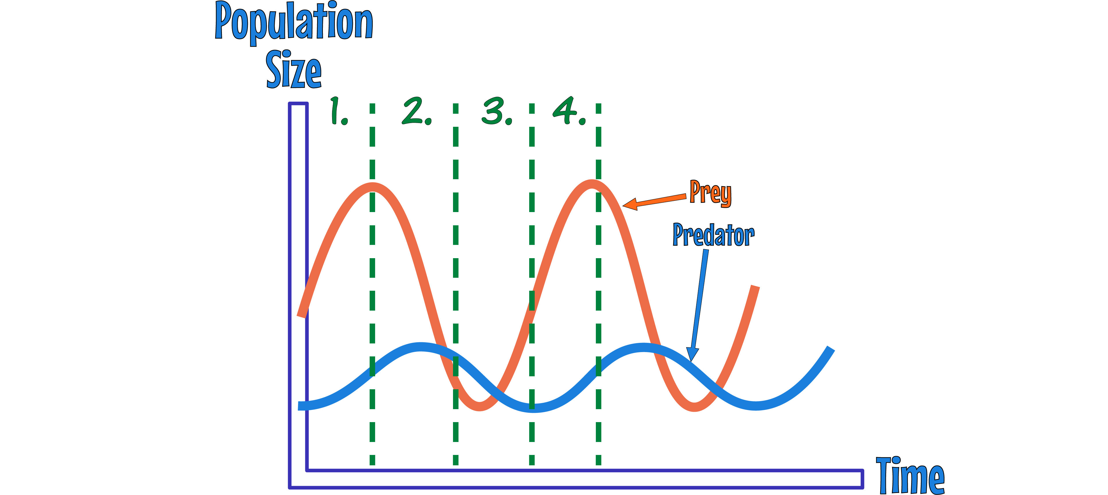 Predator Prey