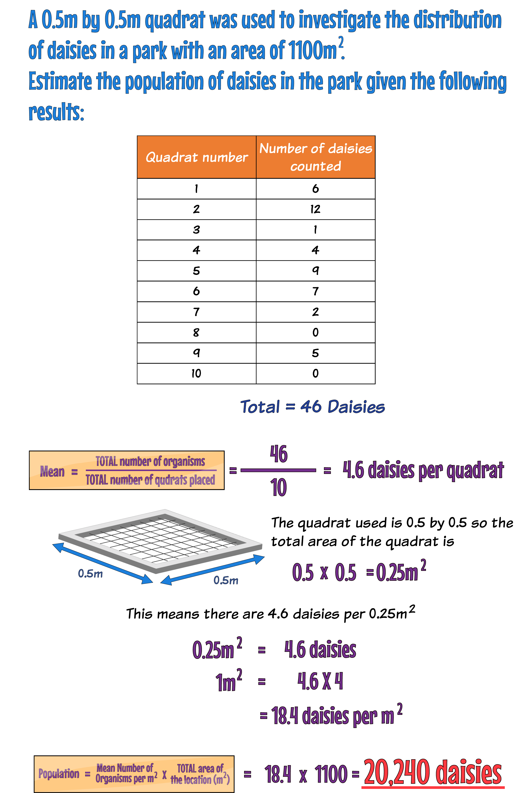 Quadrat Example