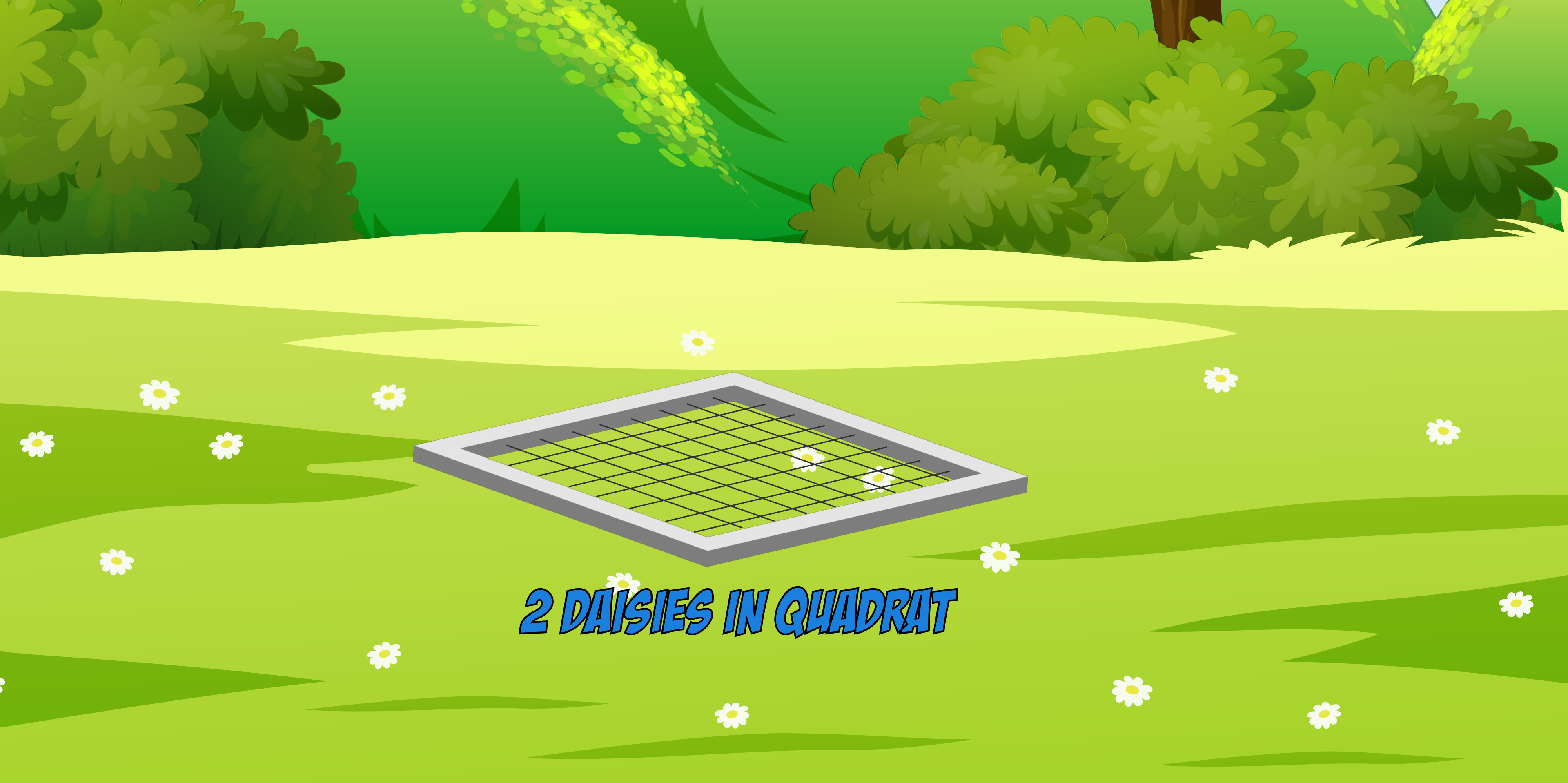 Quadrat