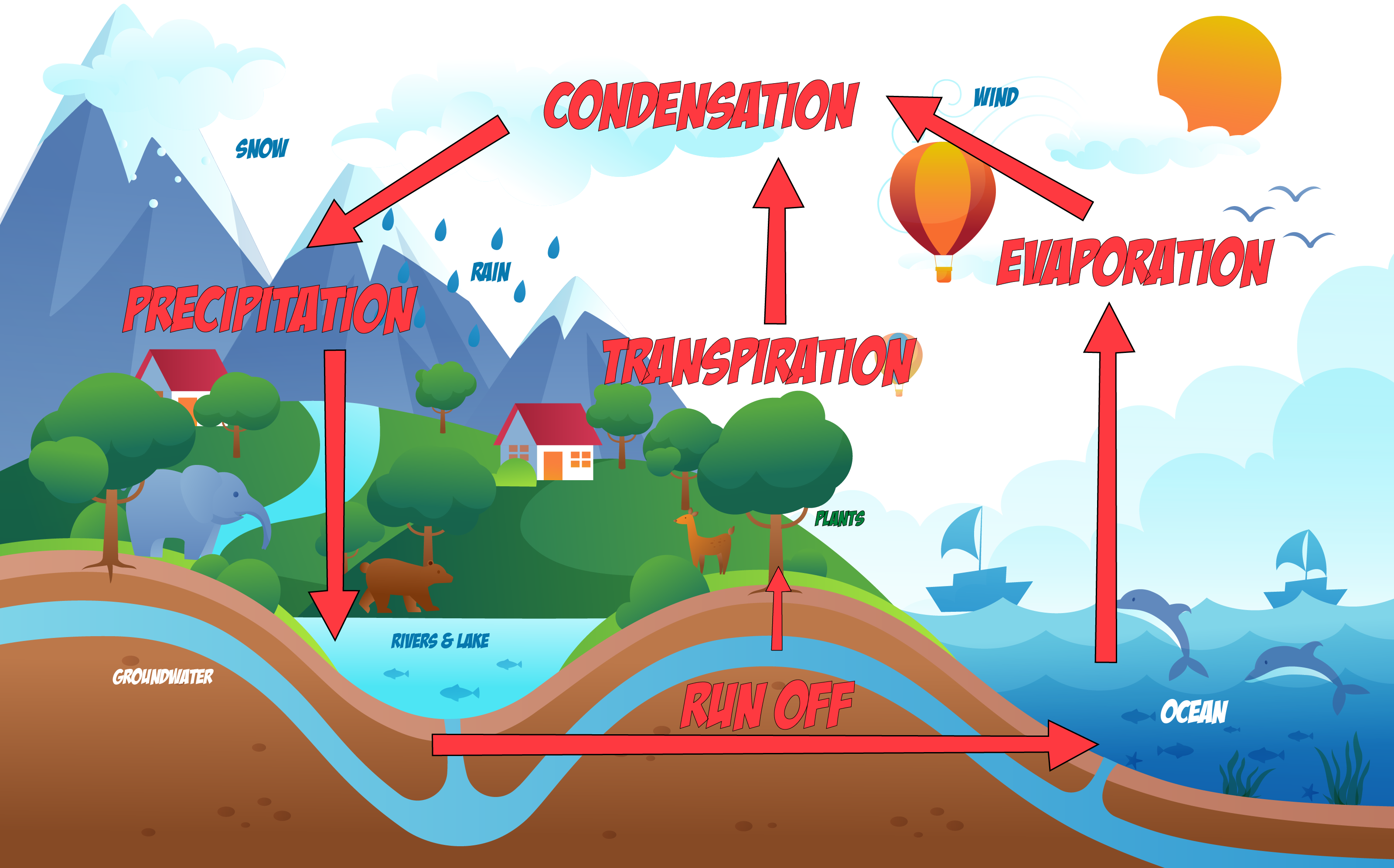 Water Cycle