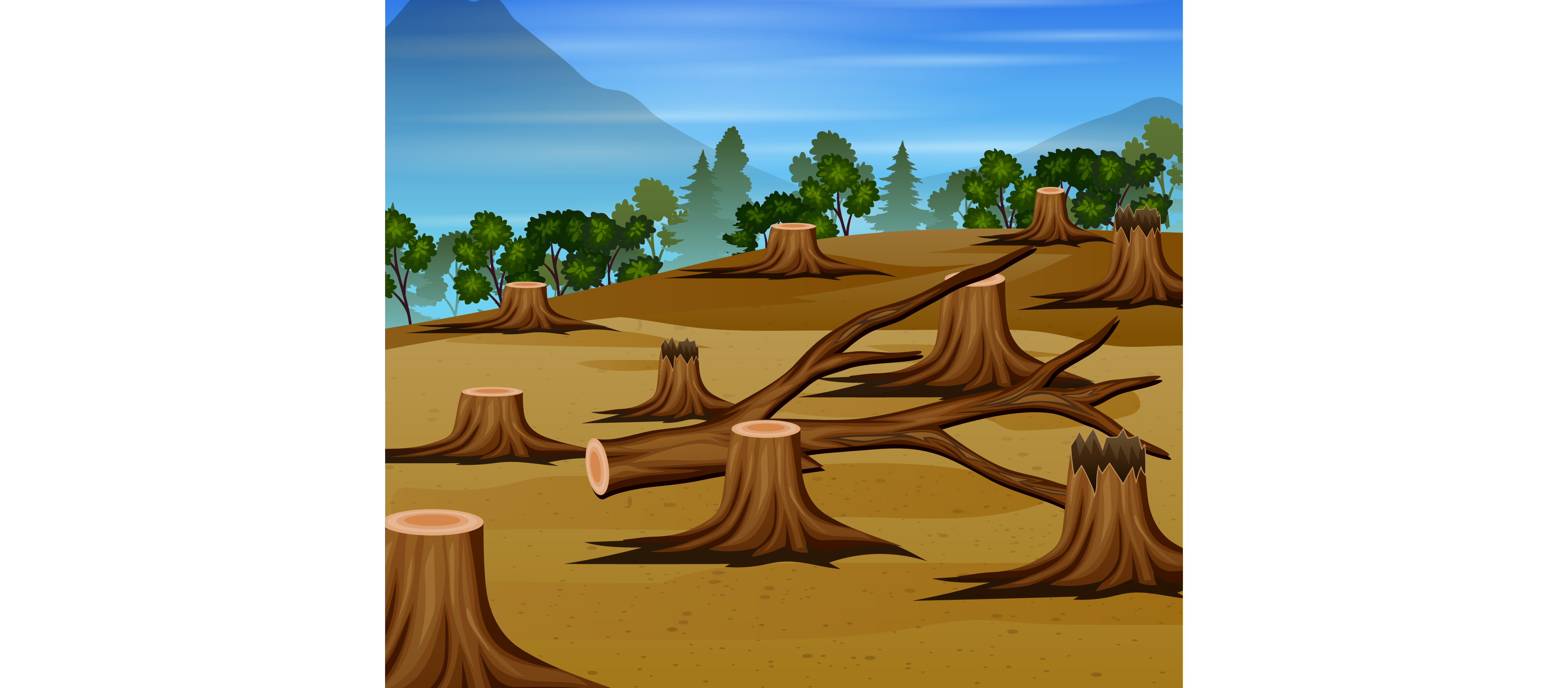 Deforestation