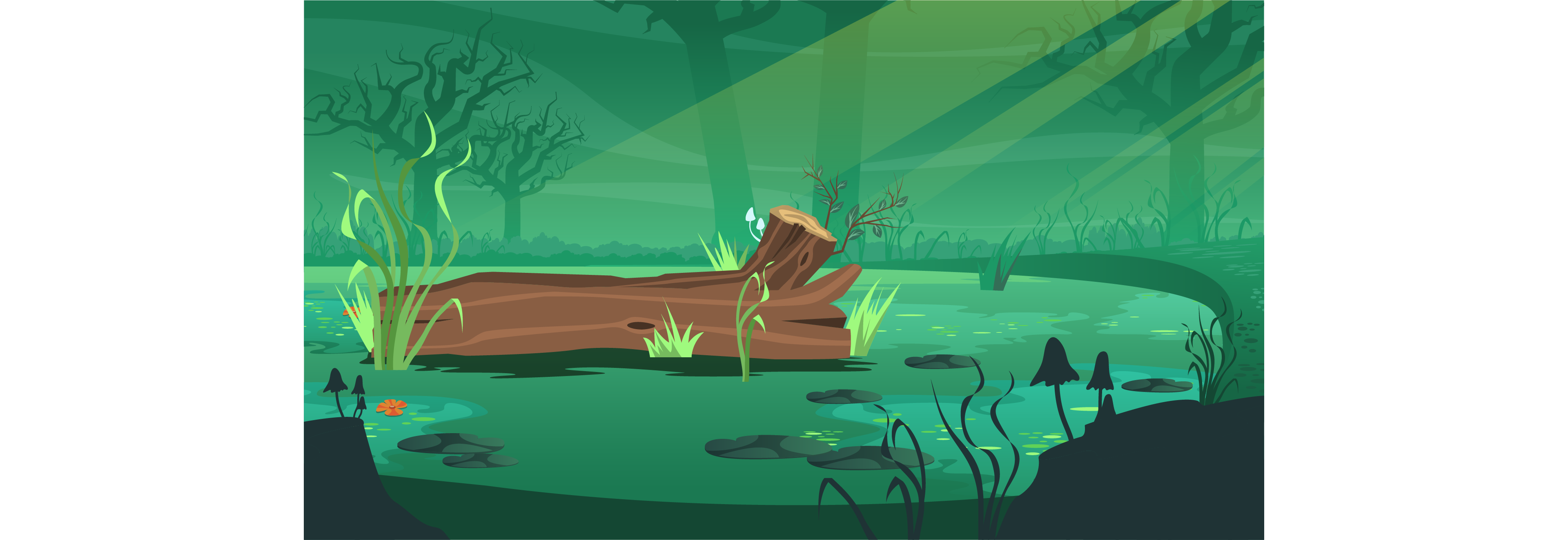 Peat Bogs