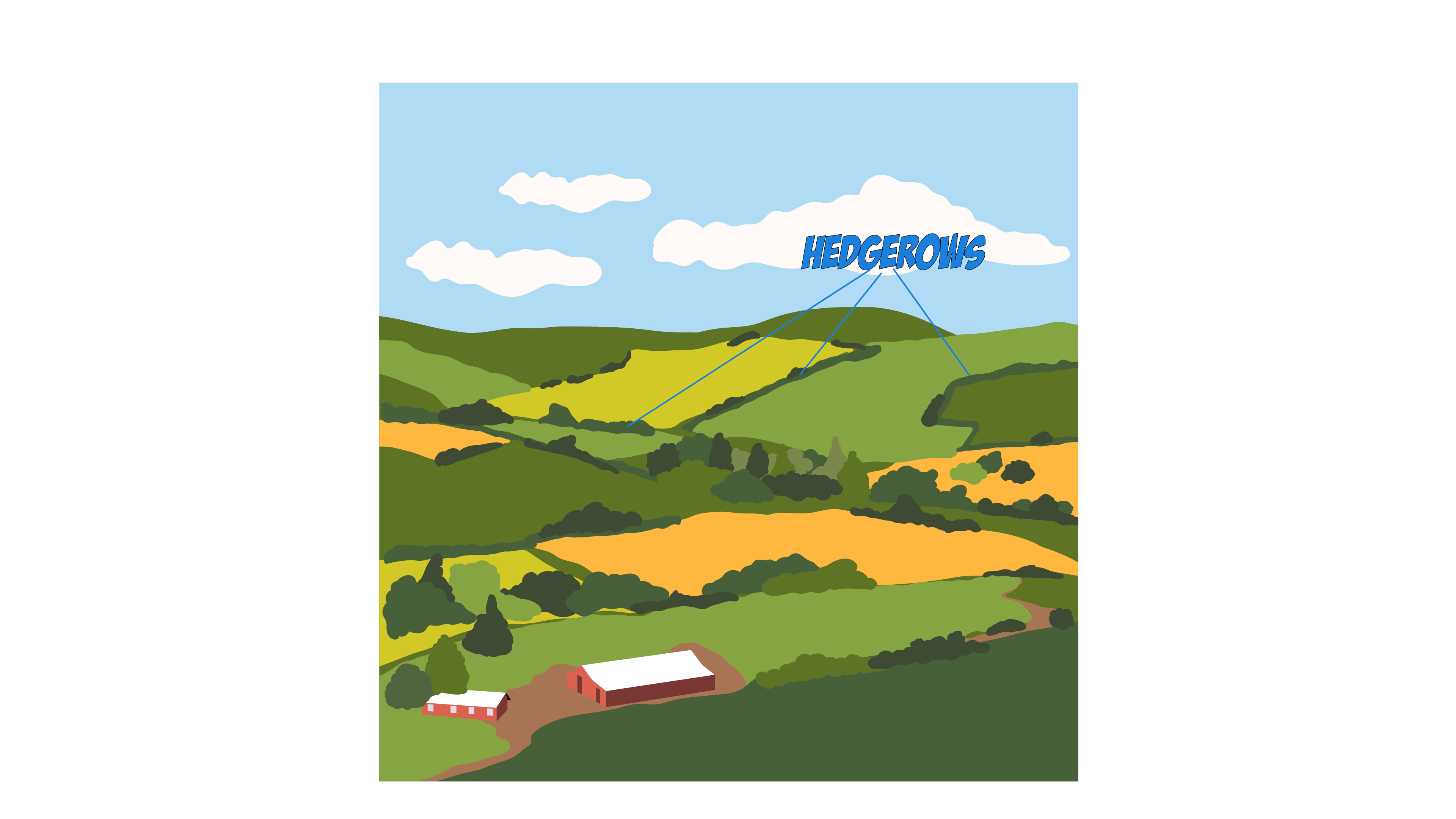 Hedgerows