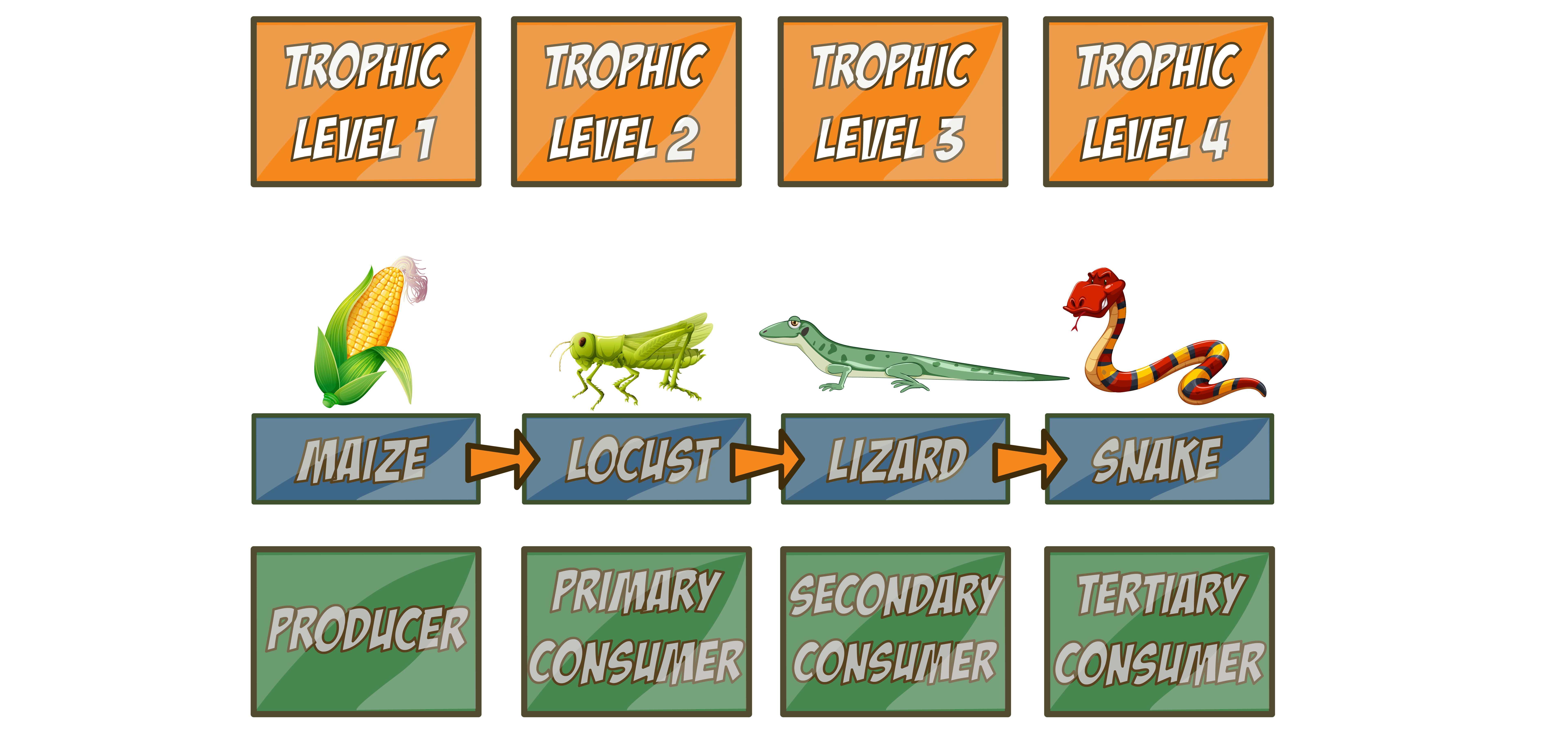 Trophic Level