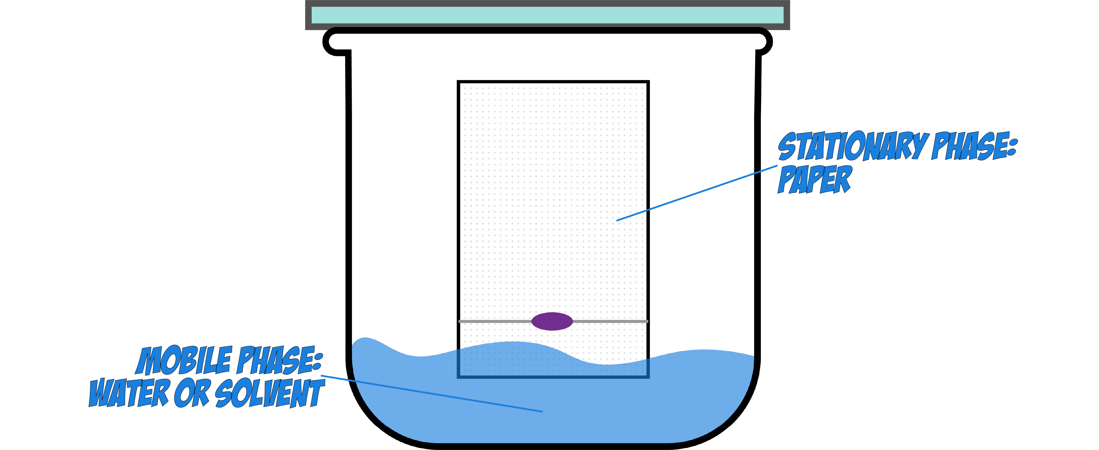 Mobile and Stationary Phase