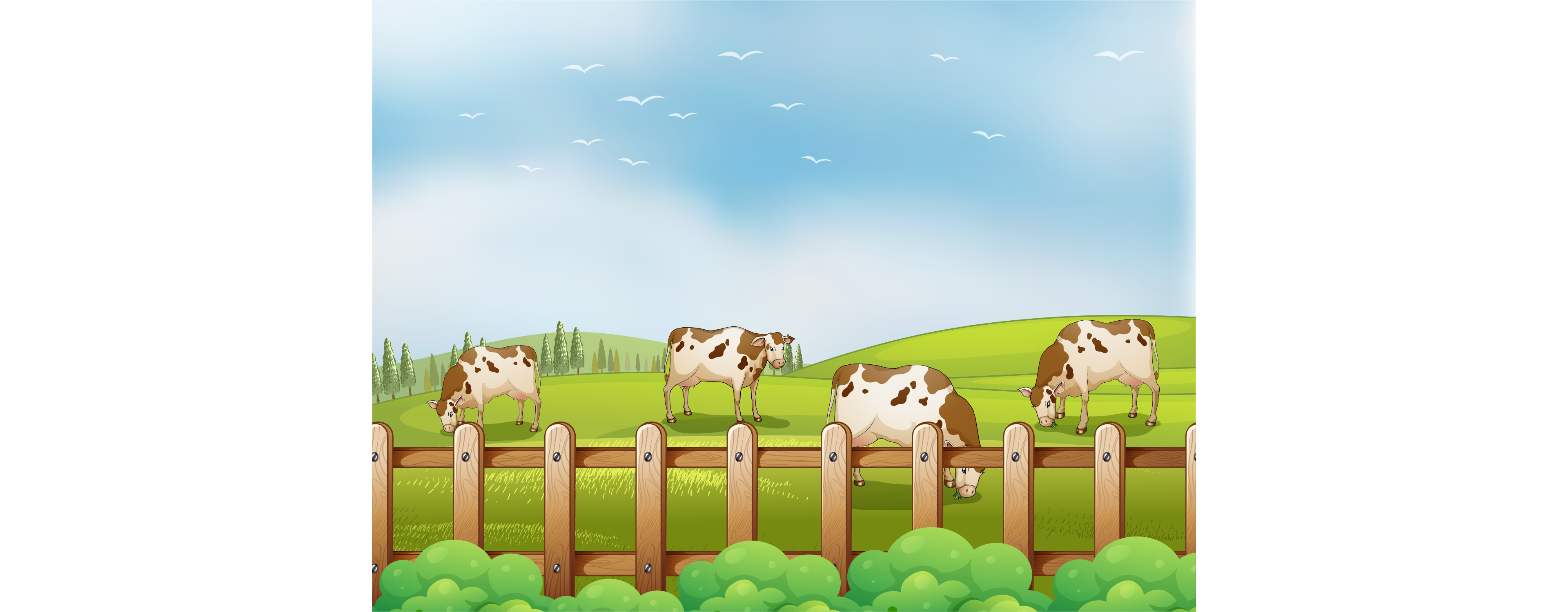Cattle Farming